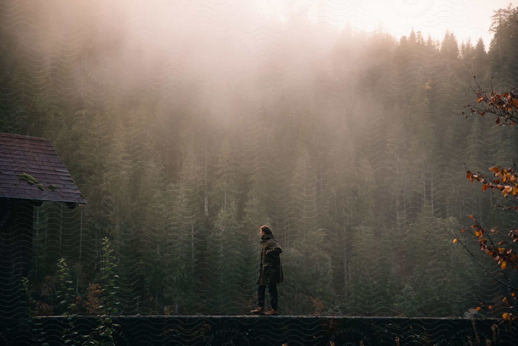 Stock photo of a man stands on a brick fence next to a house in front of a forest on a foggy day