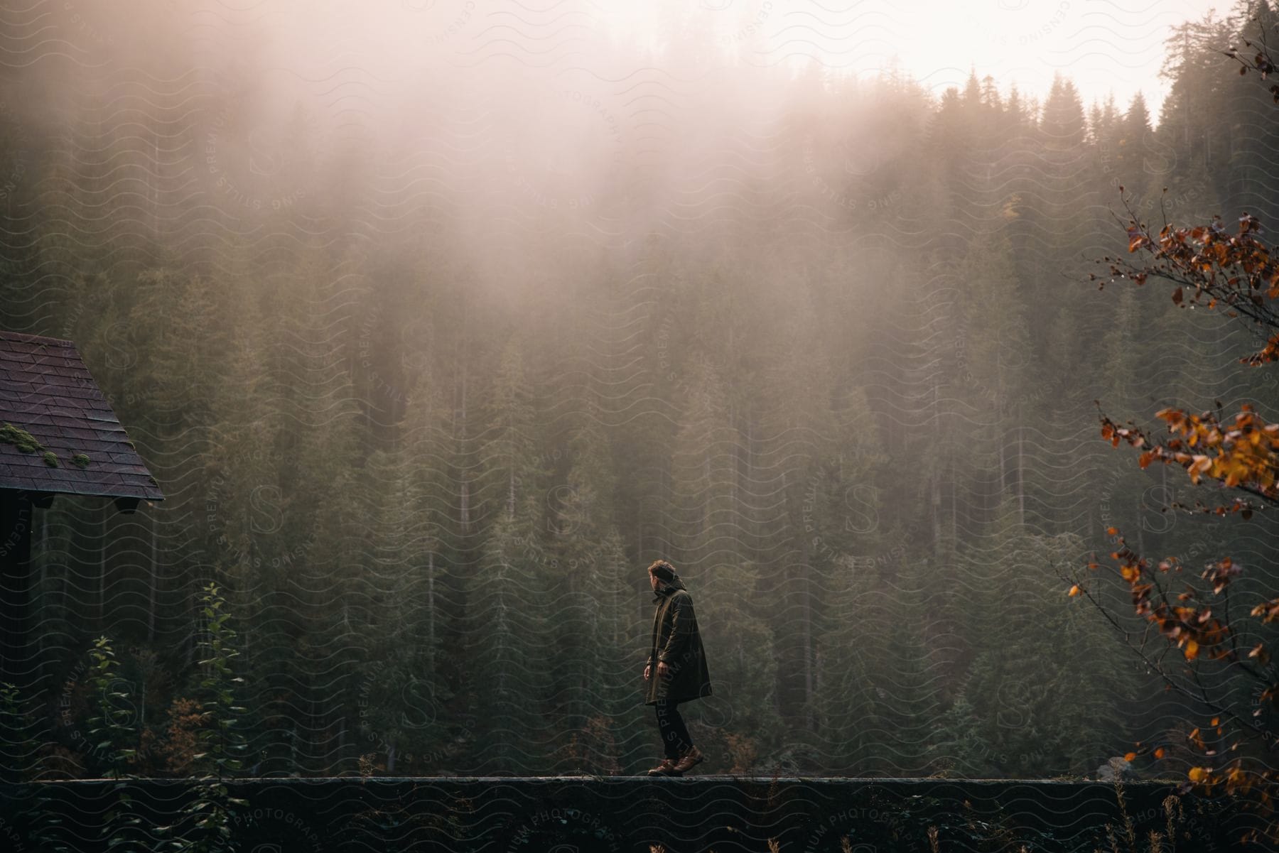 A person stands in a misty forest