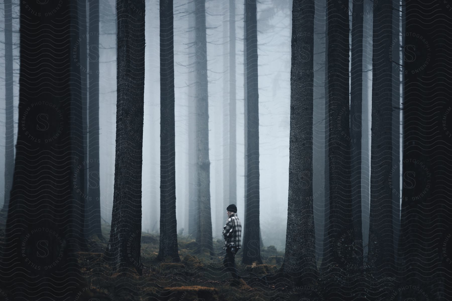 A man hiking alone through a foggy forest in germany