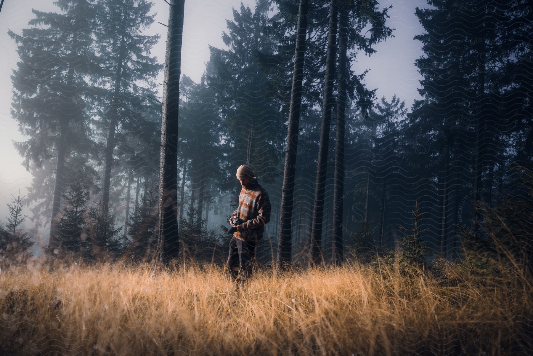 A man stands in the weeds outside a foggy forest of tall trees