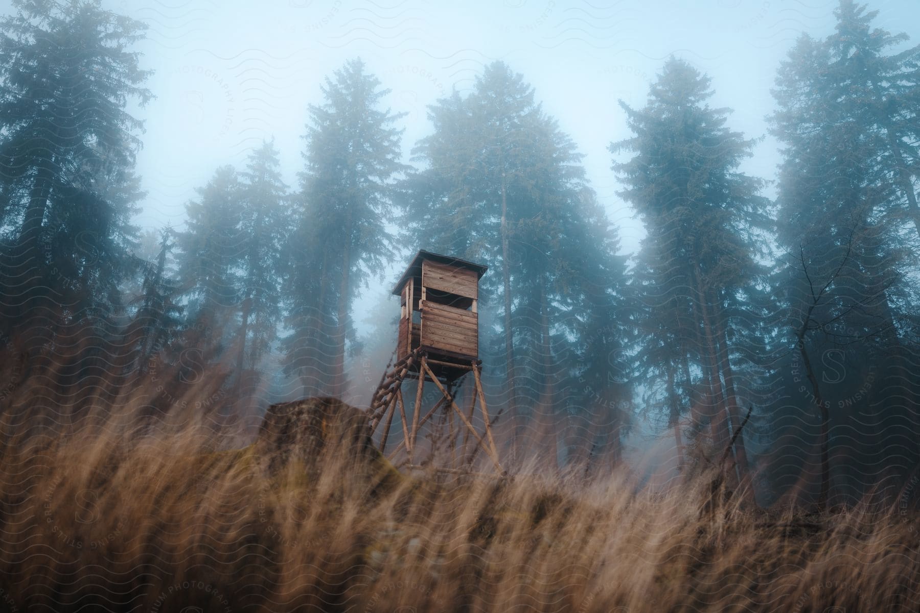 A wooden lookout cabin in a foggy forest