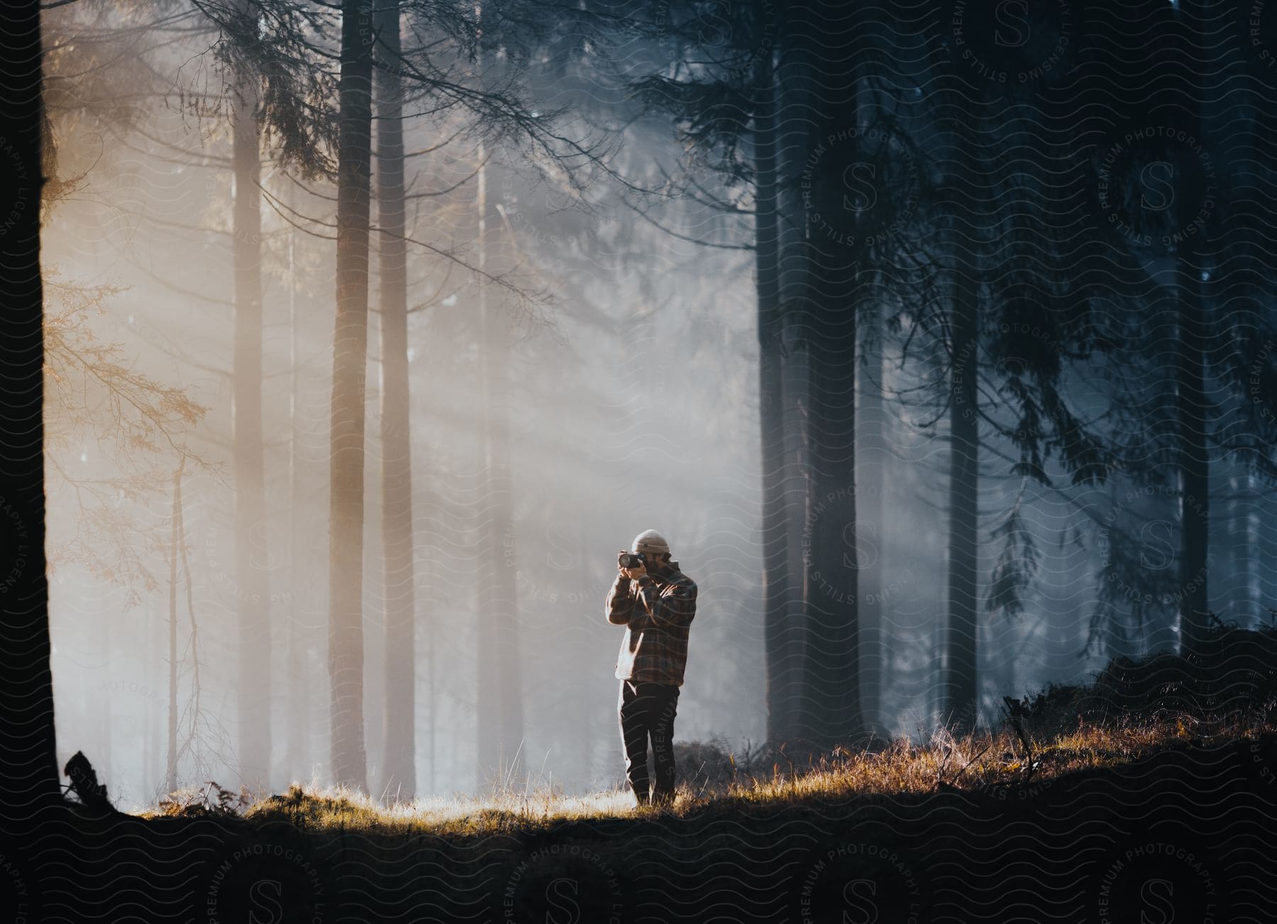 A man holds his camera as sunlight illuminates fog in a forest