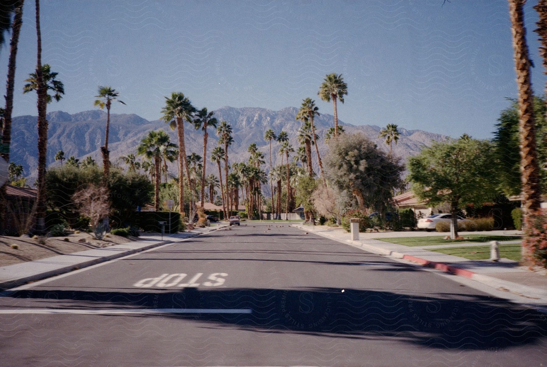 Suburban street with palm trees houses and cars on a sunny day with mountains in the distance