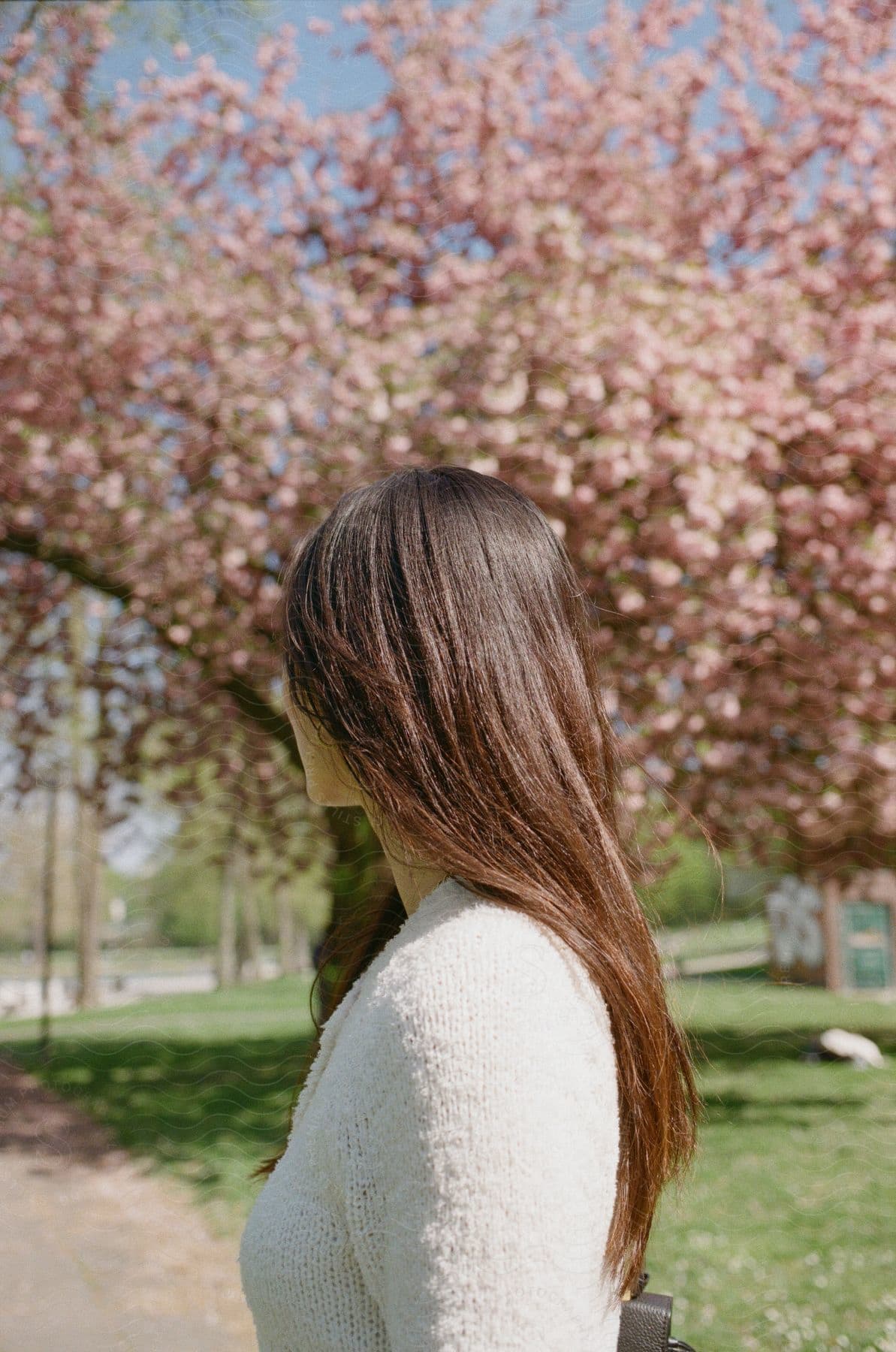 Woman with brown and red hued straight hair wearing a white fuzzy top with a pink flowered tree in the background on a sunny day near a park