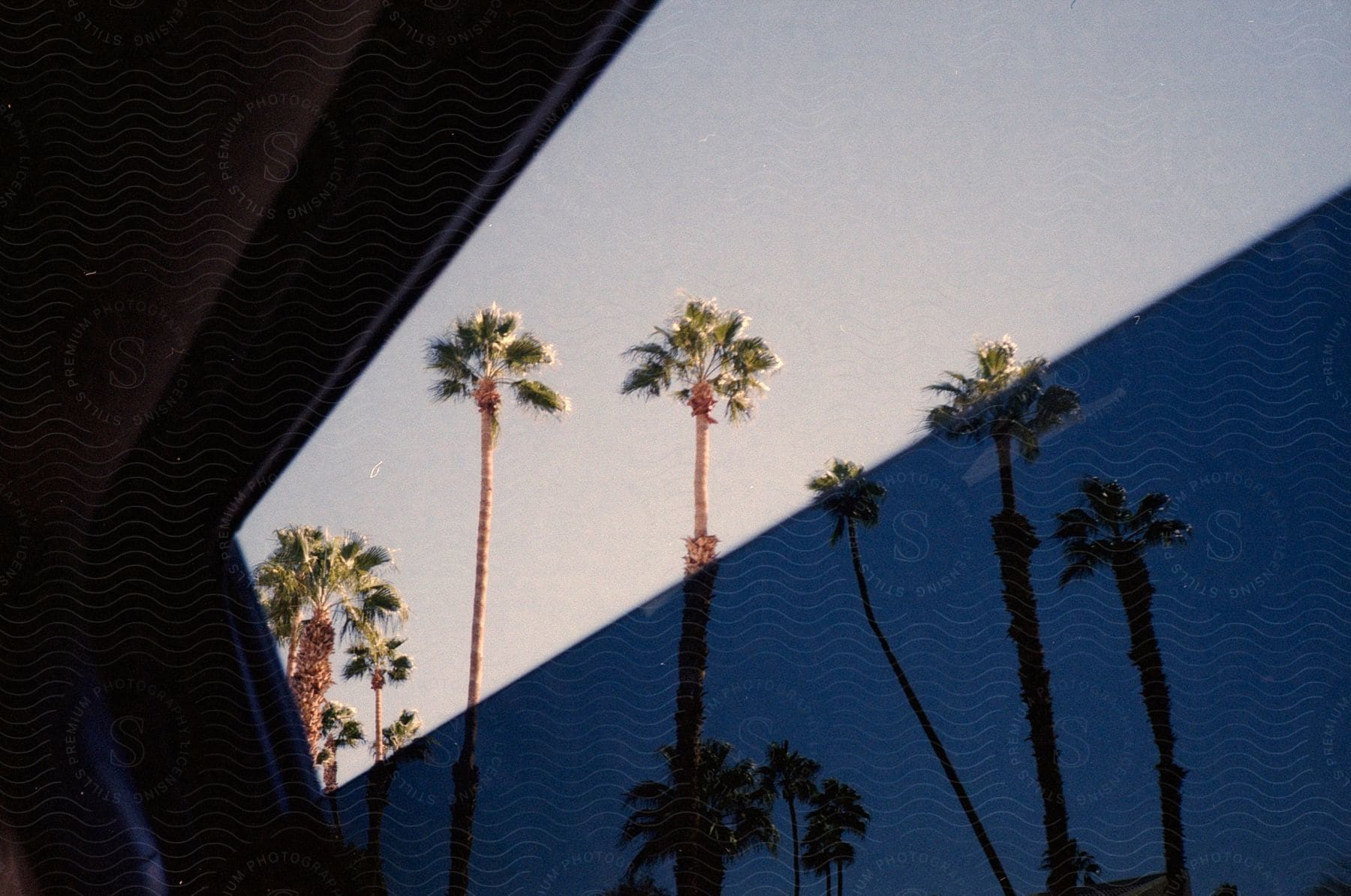 Stock photo of a car window frames a view of a few palm trees