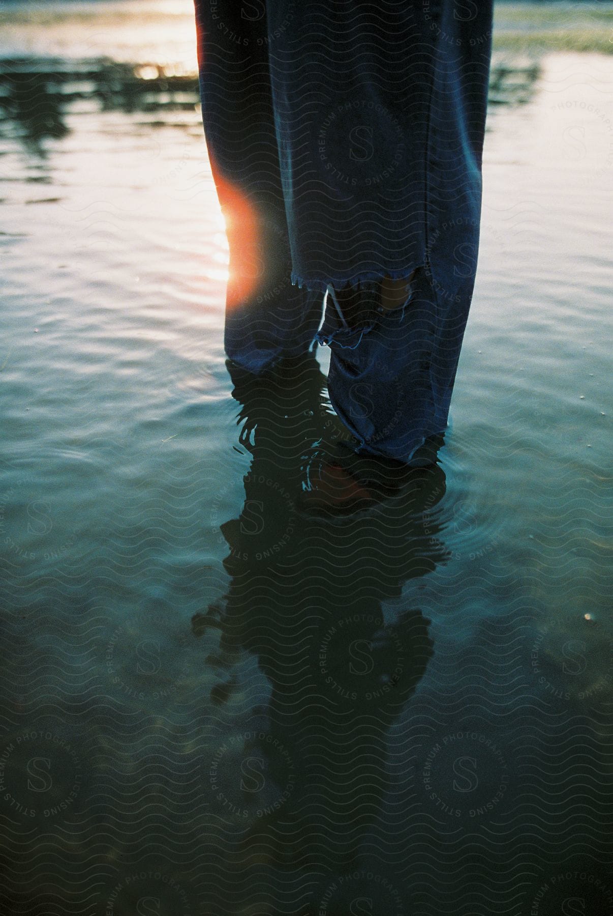 A person standing in shallow water on a sunny day at the shoreline