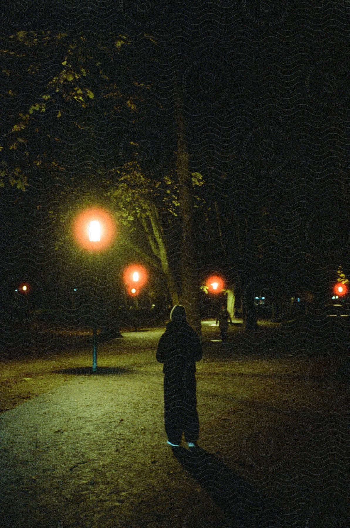 One person walks towards another in a park with large trees and street lights