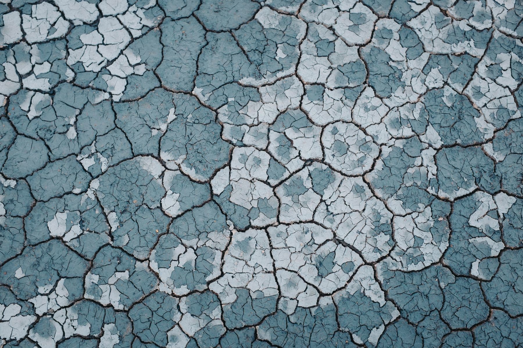 Dried Mud With Multiple Cracks