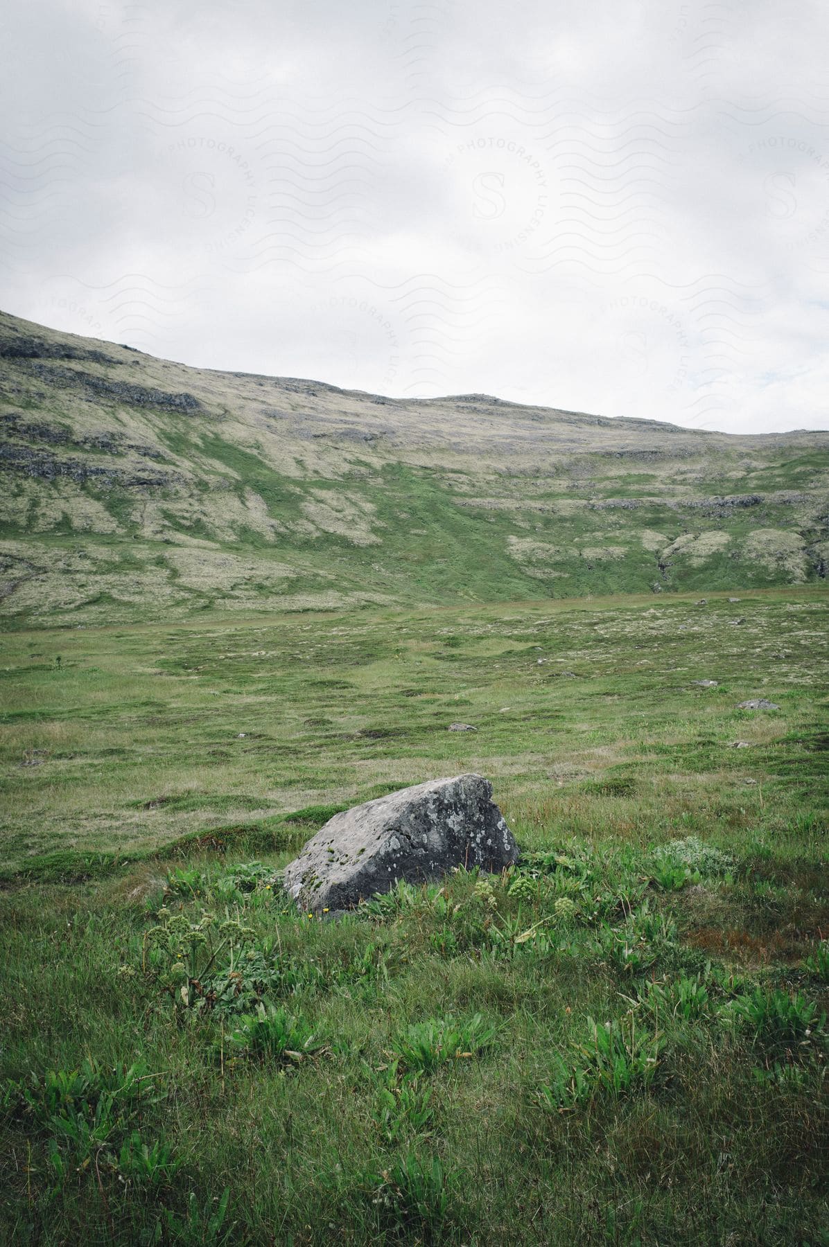 A large rock is seen on a field with a rocky mountain in the background