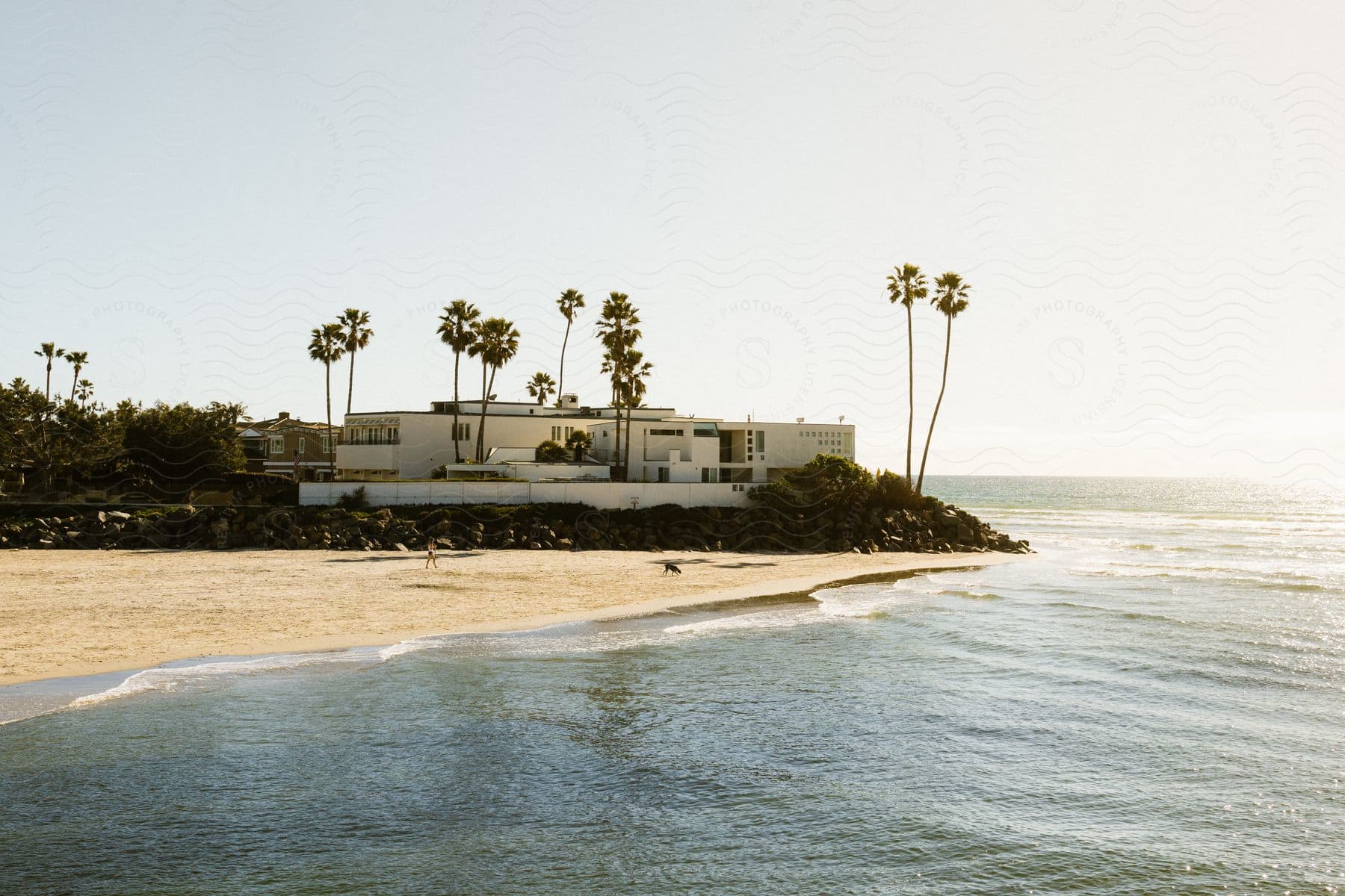 A large beach house with palm trees on a beach promontory by the ocean.