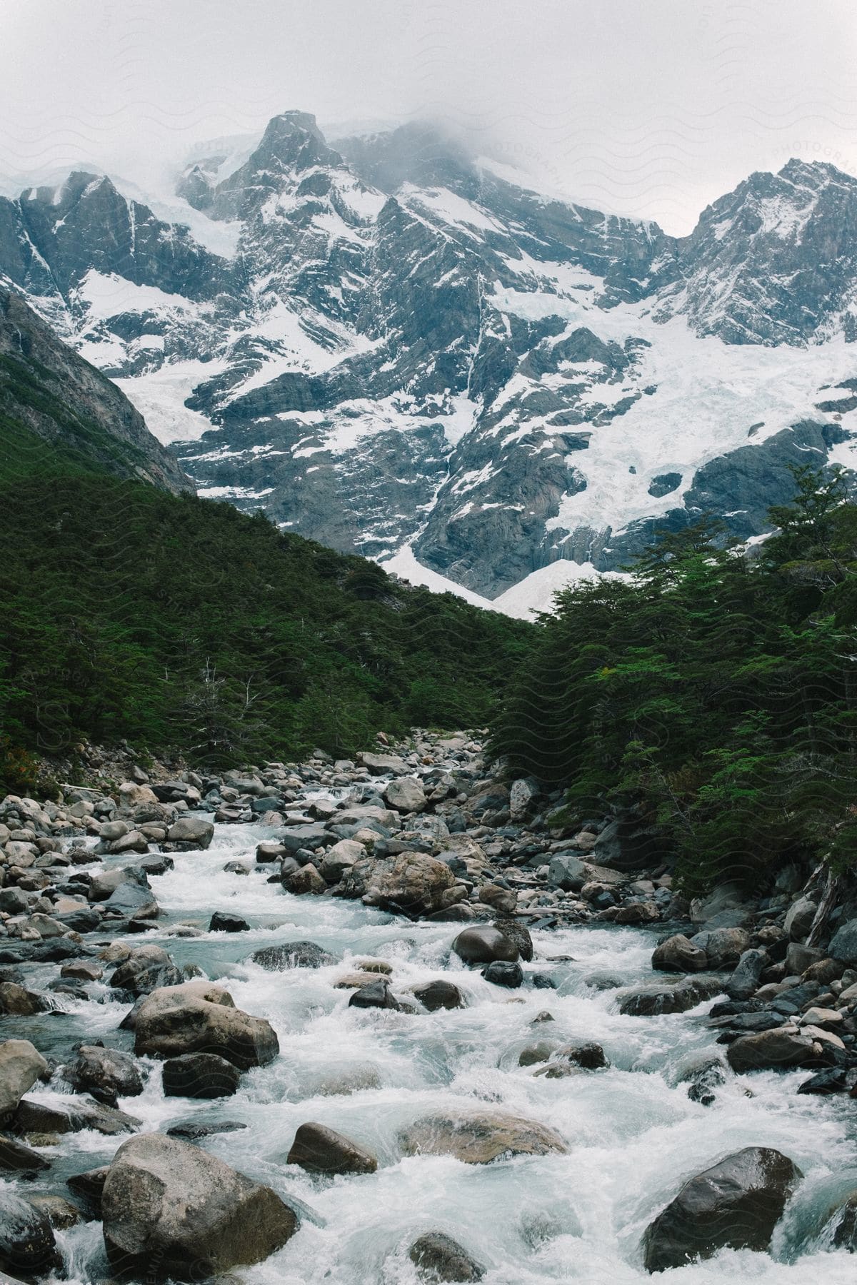 Rocky stream cascading down through rugged terrain in patagonia