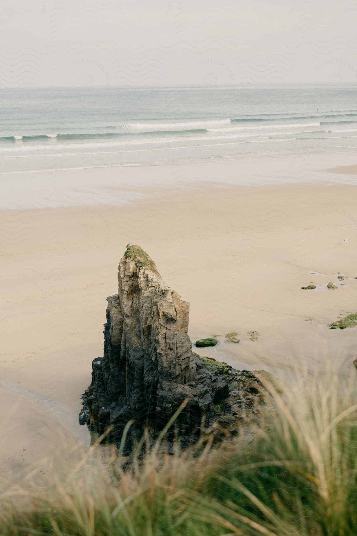 A bird perches on a rocky structure on the beach