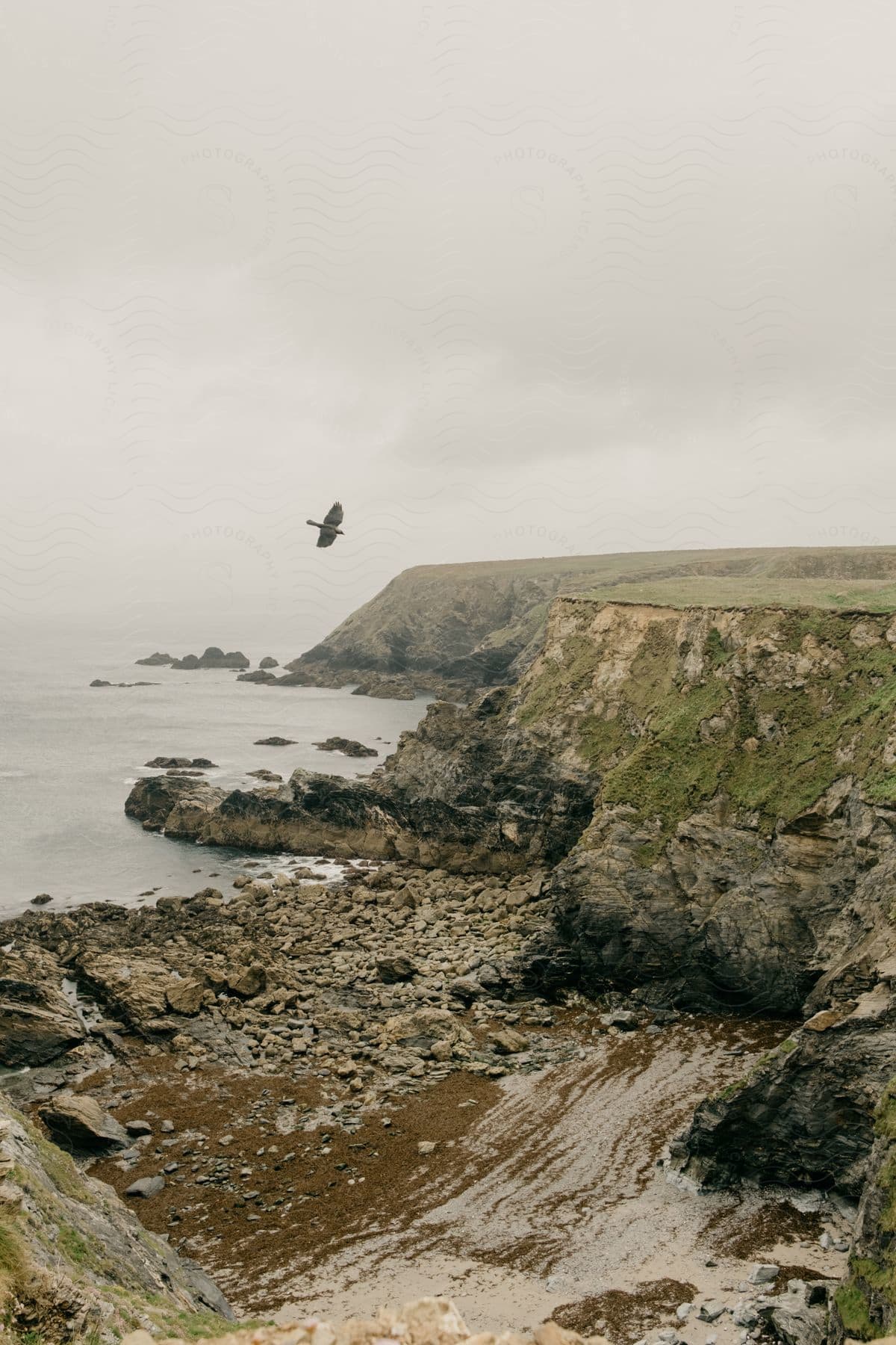 A serene coastal landscape with a bird flying over the water and rocky cliffs