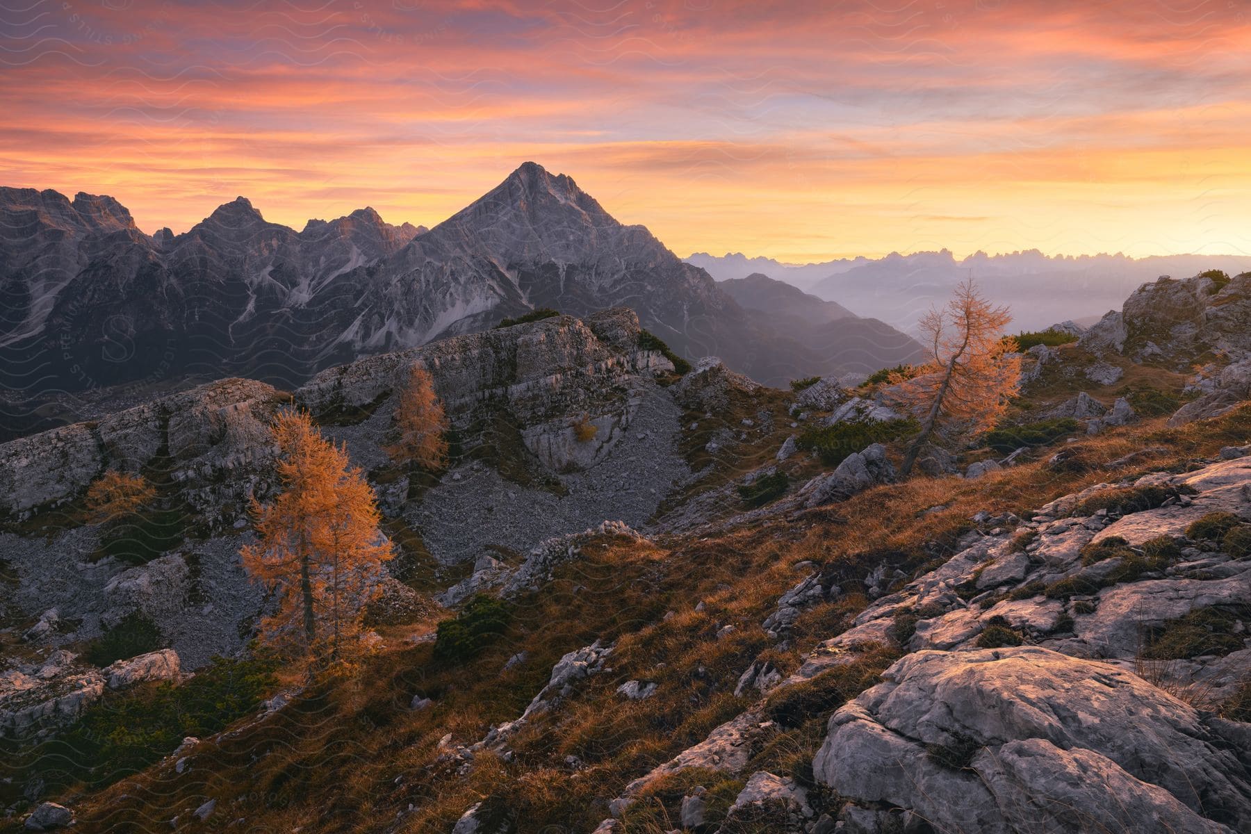 Fallcolored leaves on trees with light snow cover on a mountain ridge under a bright sunset sky