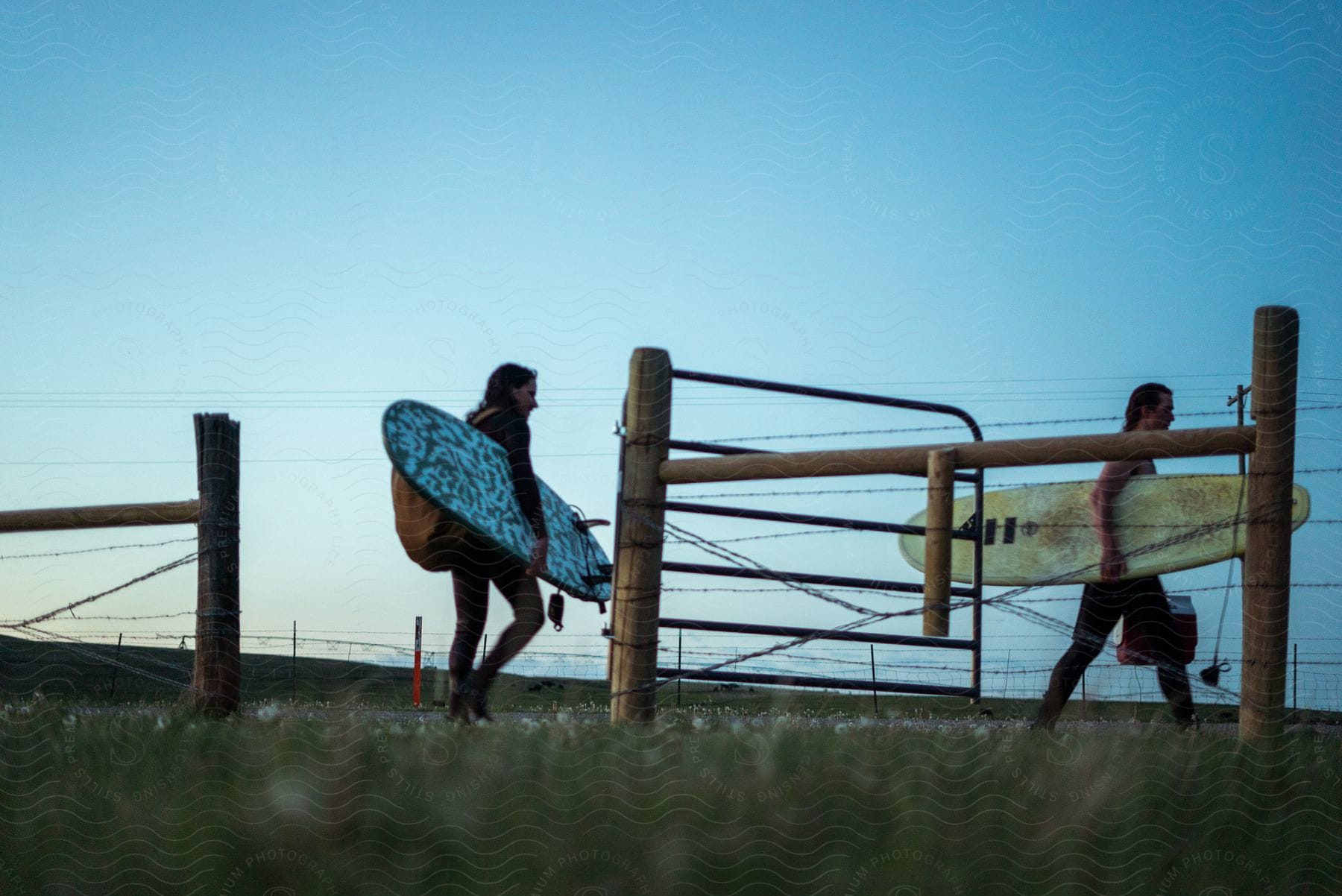 A couple walks behind a barbed wire fence at dawn carrying surfboards and an ice chest with grass in the foreground