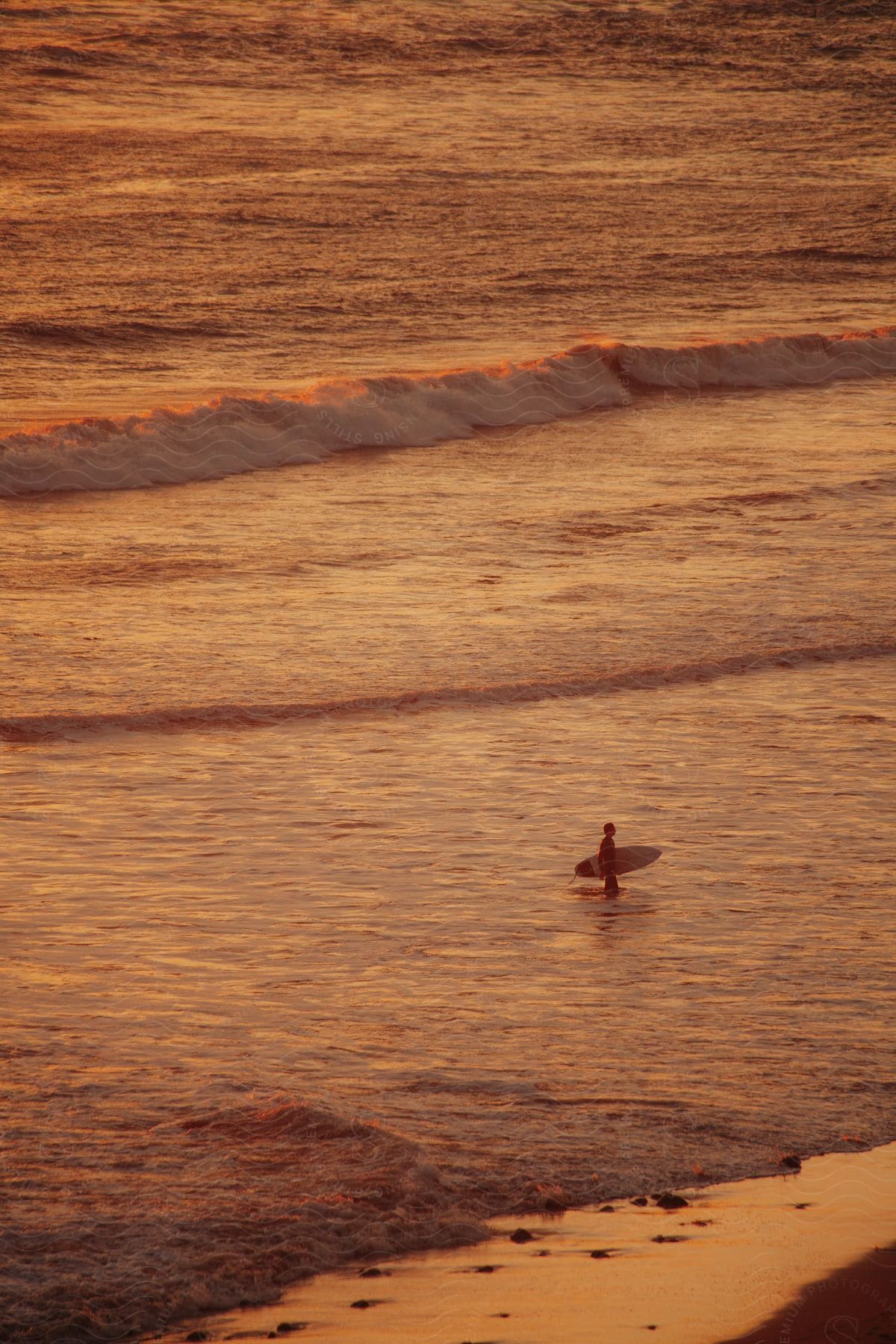 A person holding a surfboard in the water at dusk