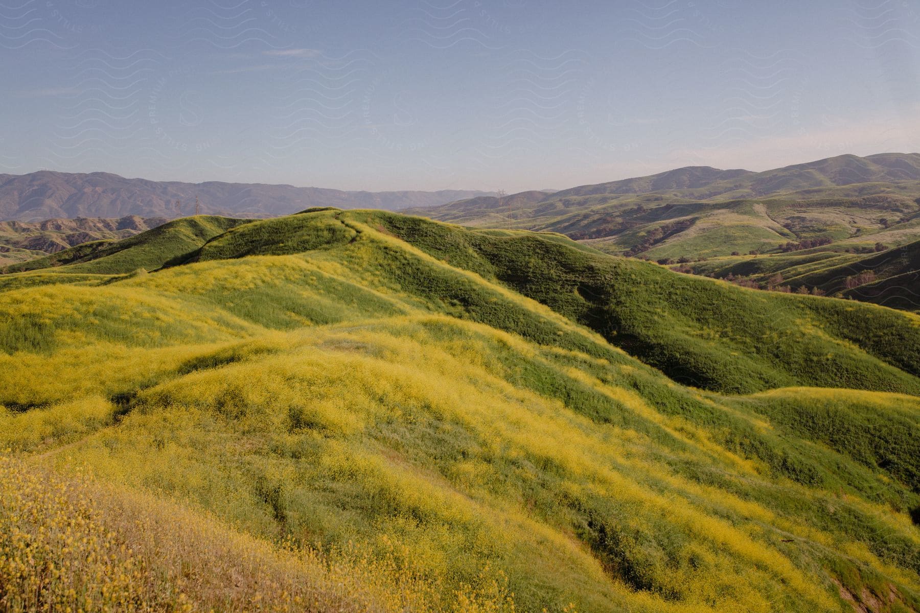 Grassy fields stretch alongside mountains in california