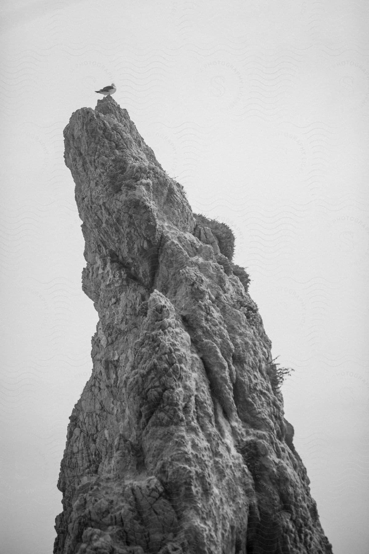 A bird perched on a tall rock formation in the outdoors