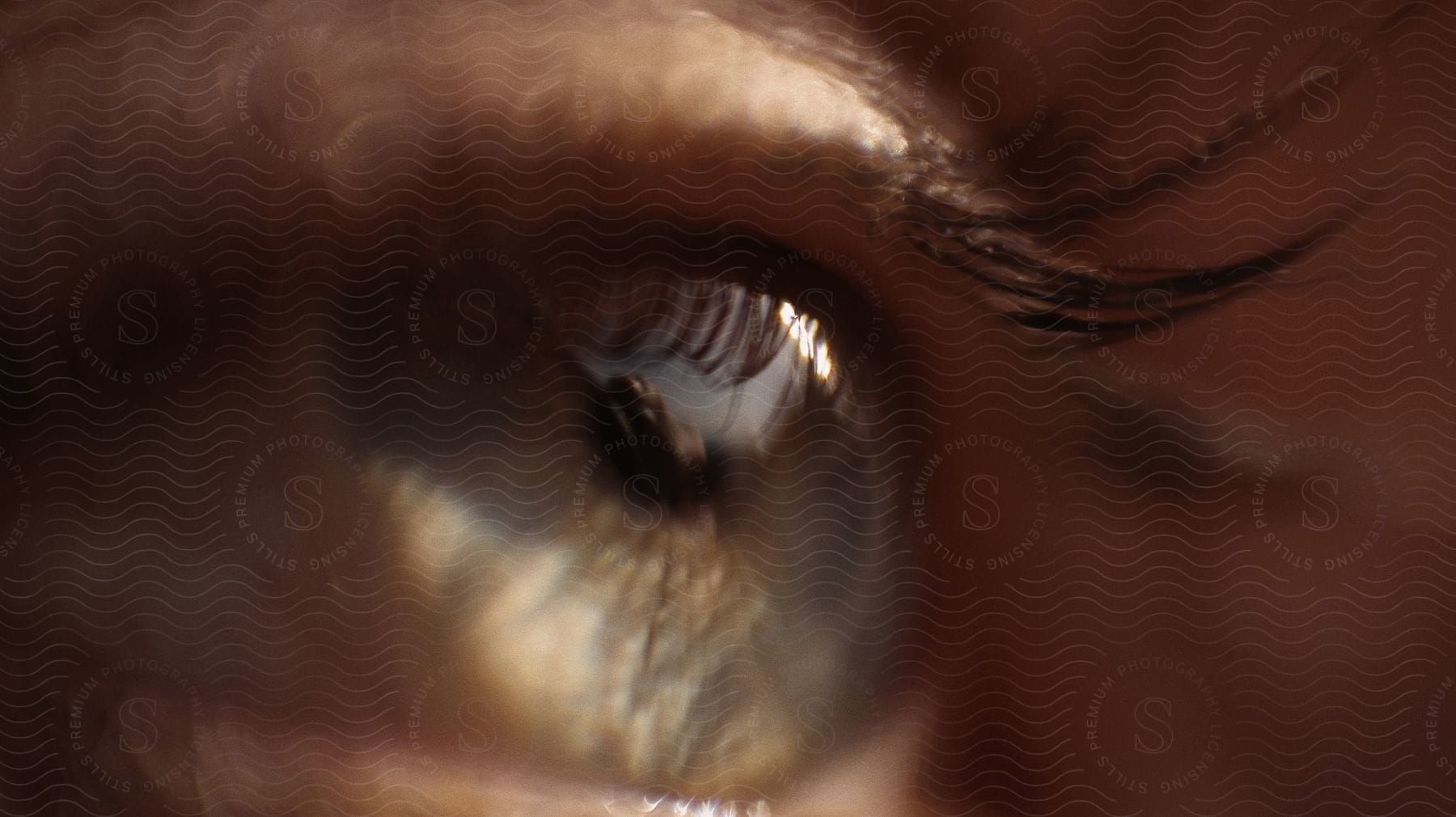 Close up of eye with white iris and pupil