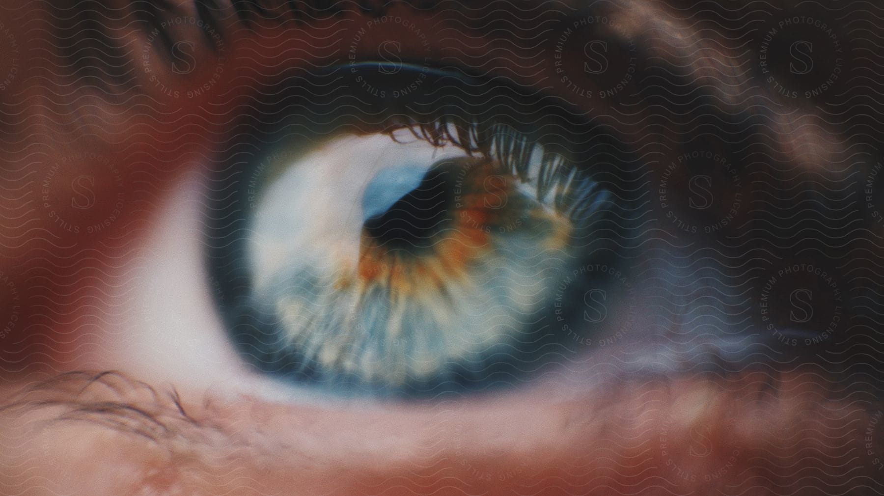 Closeup of a brown eye looking out into the light