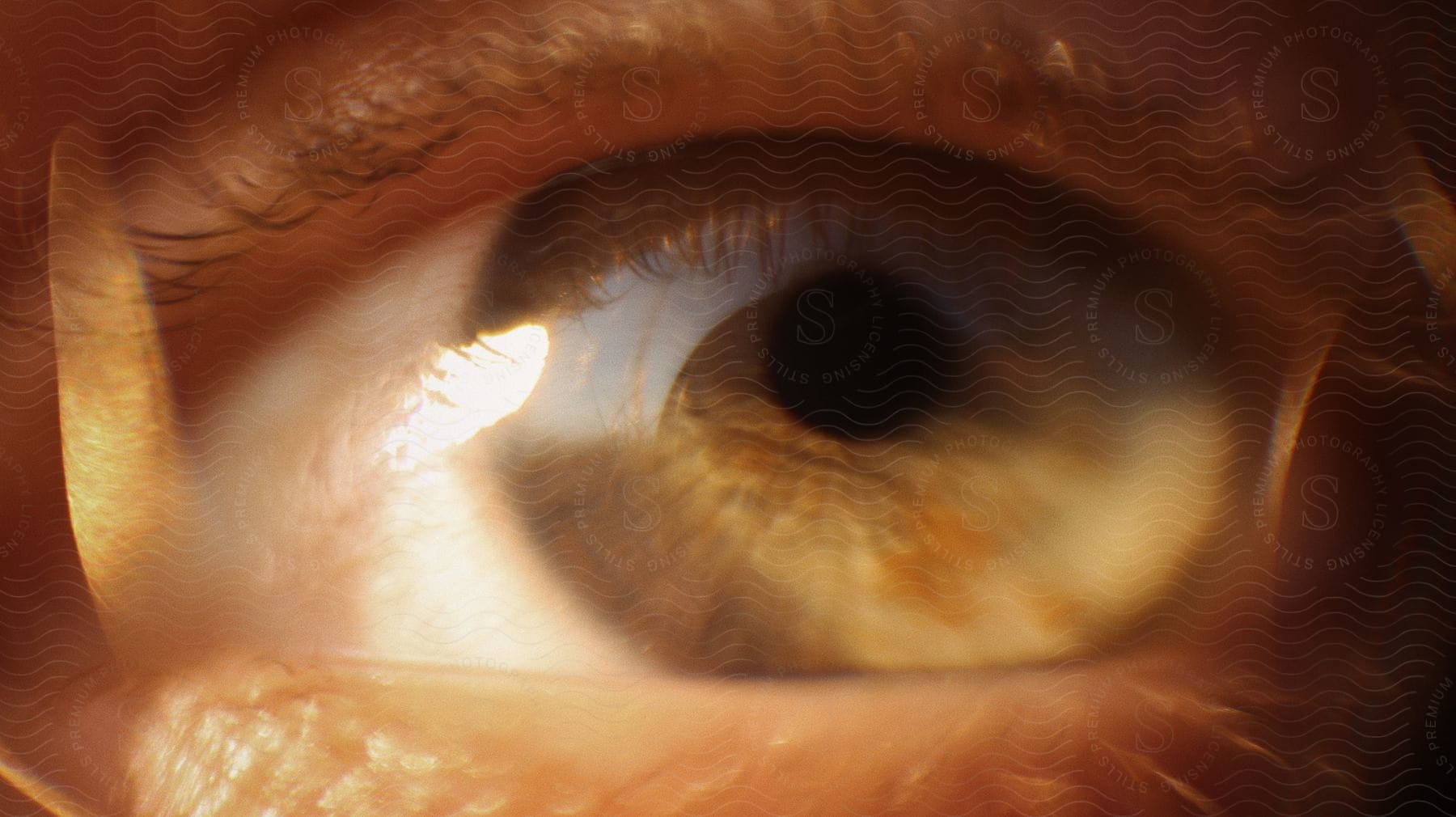 A hazel eye closeup with hidden details