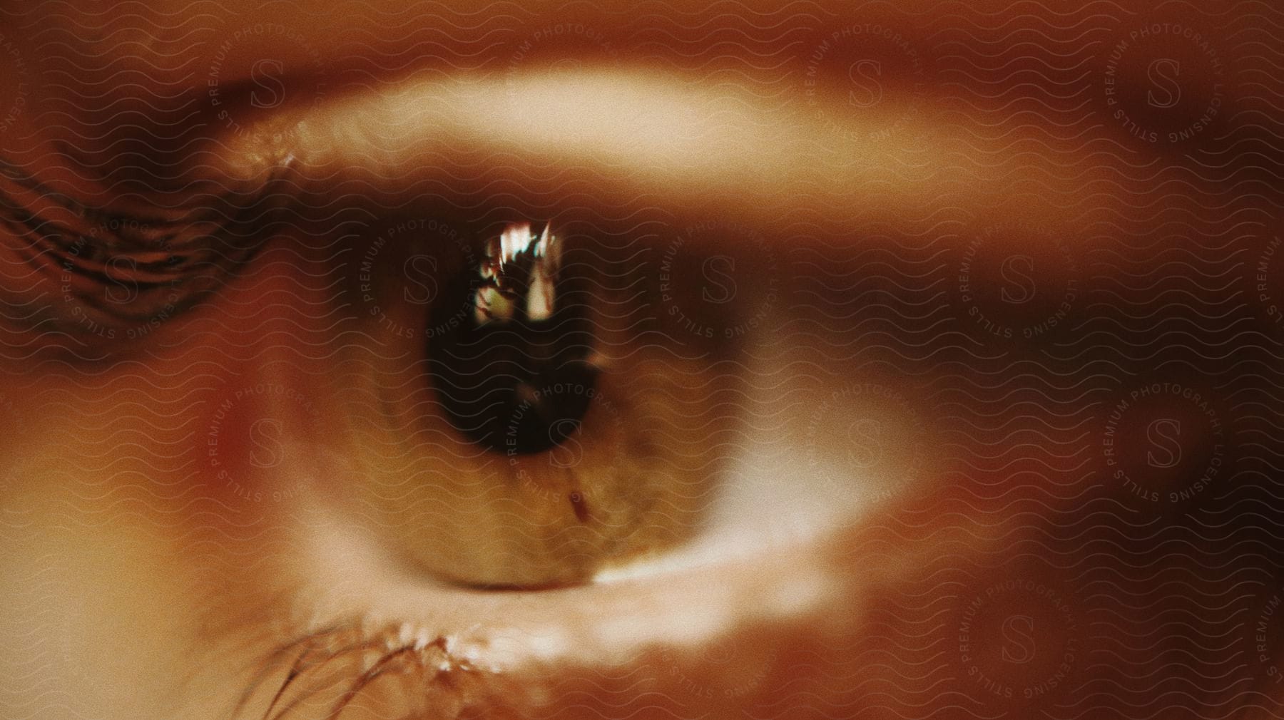 A closeup picture of a human eye showing hidden details