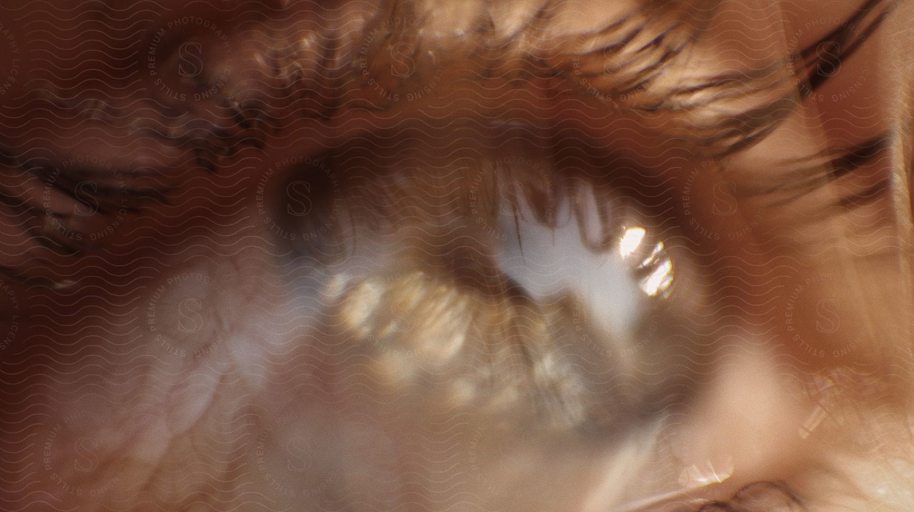 A closeup of a persons eye showcasing intricate details