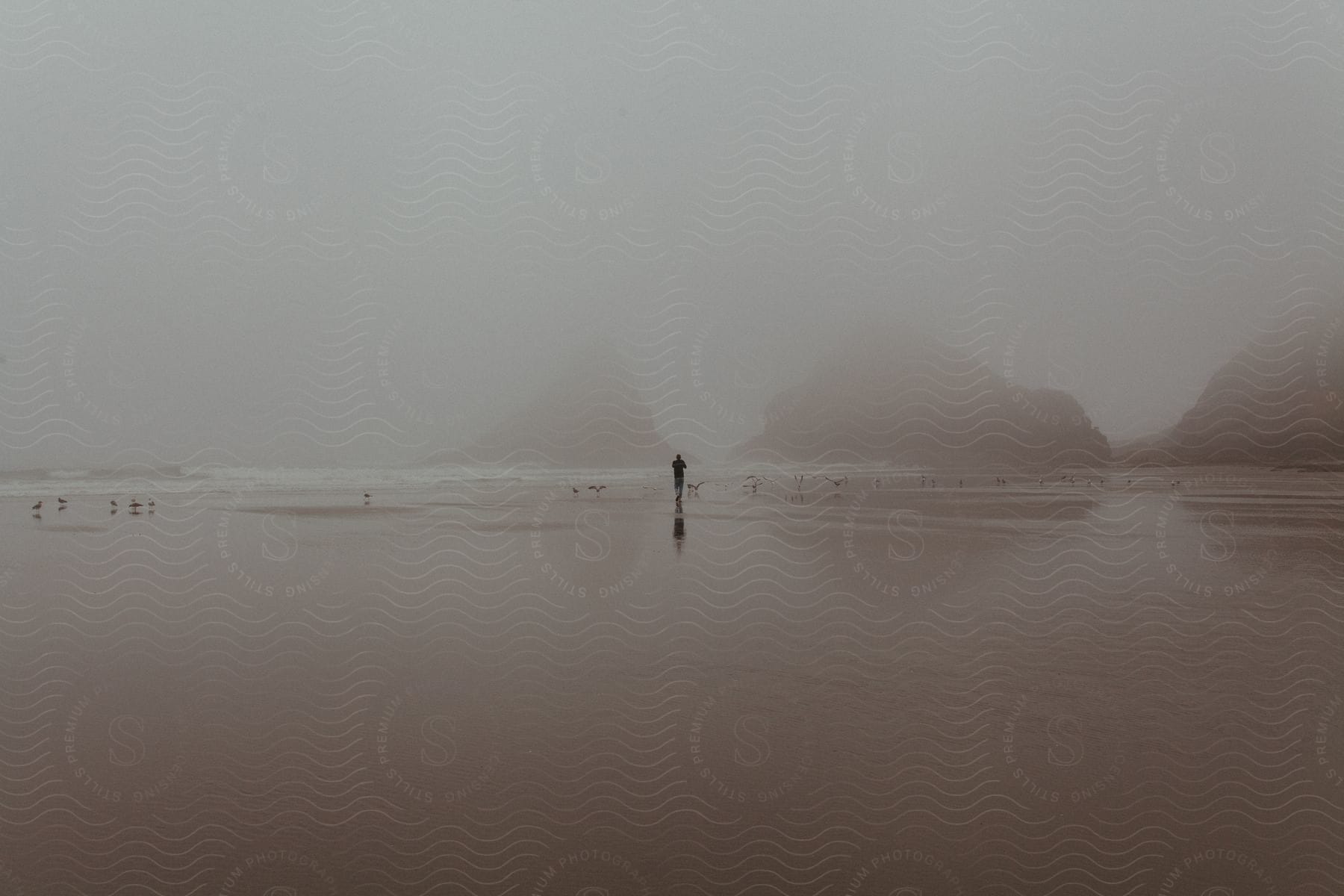 Fog covers a beach making distant landforms barely visible as seagulls fly low by the shoreline where a solitary person stands with their reflection silhouetted behind them on the waters edge