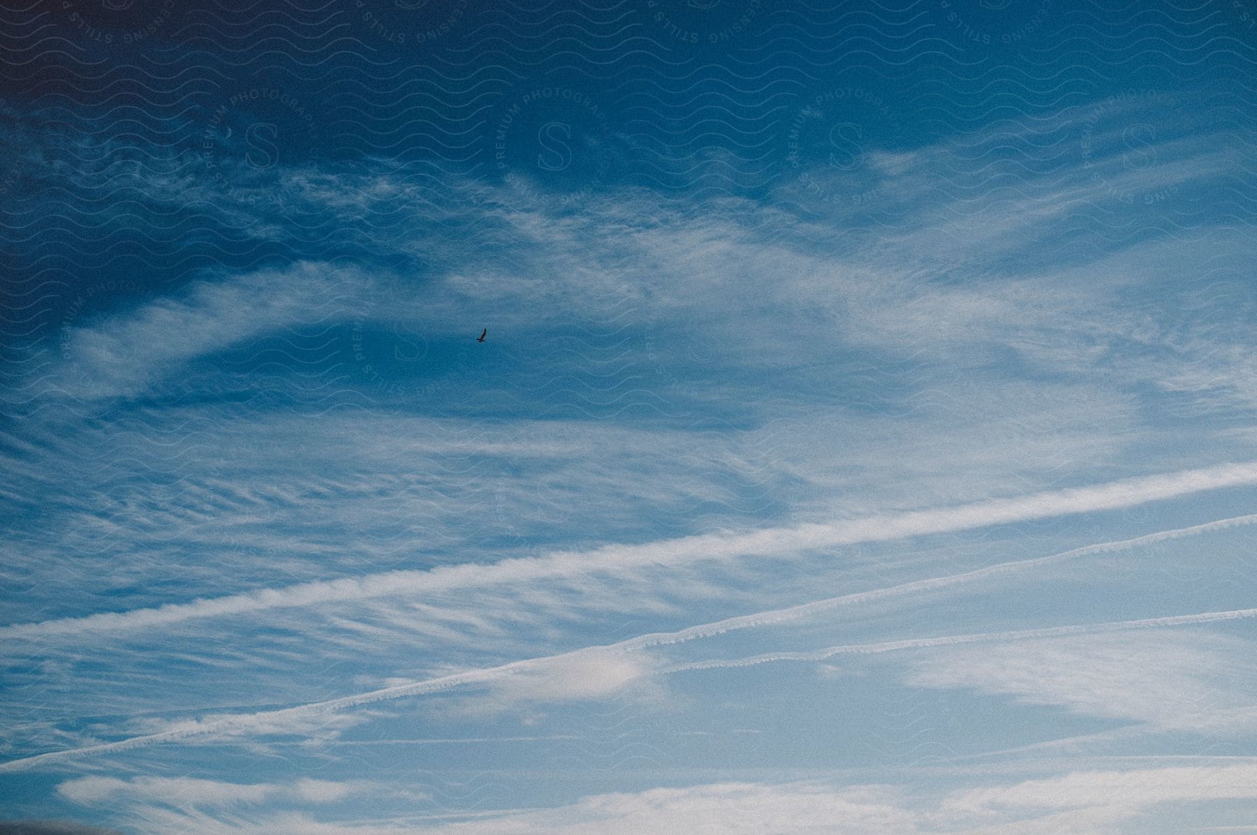 A bird flies across a cloudy sky