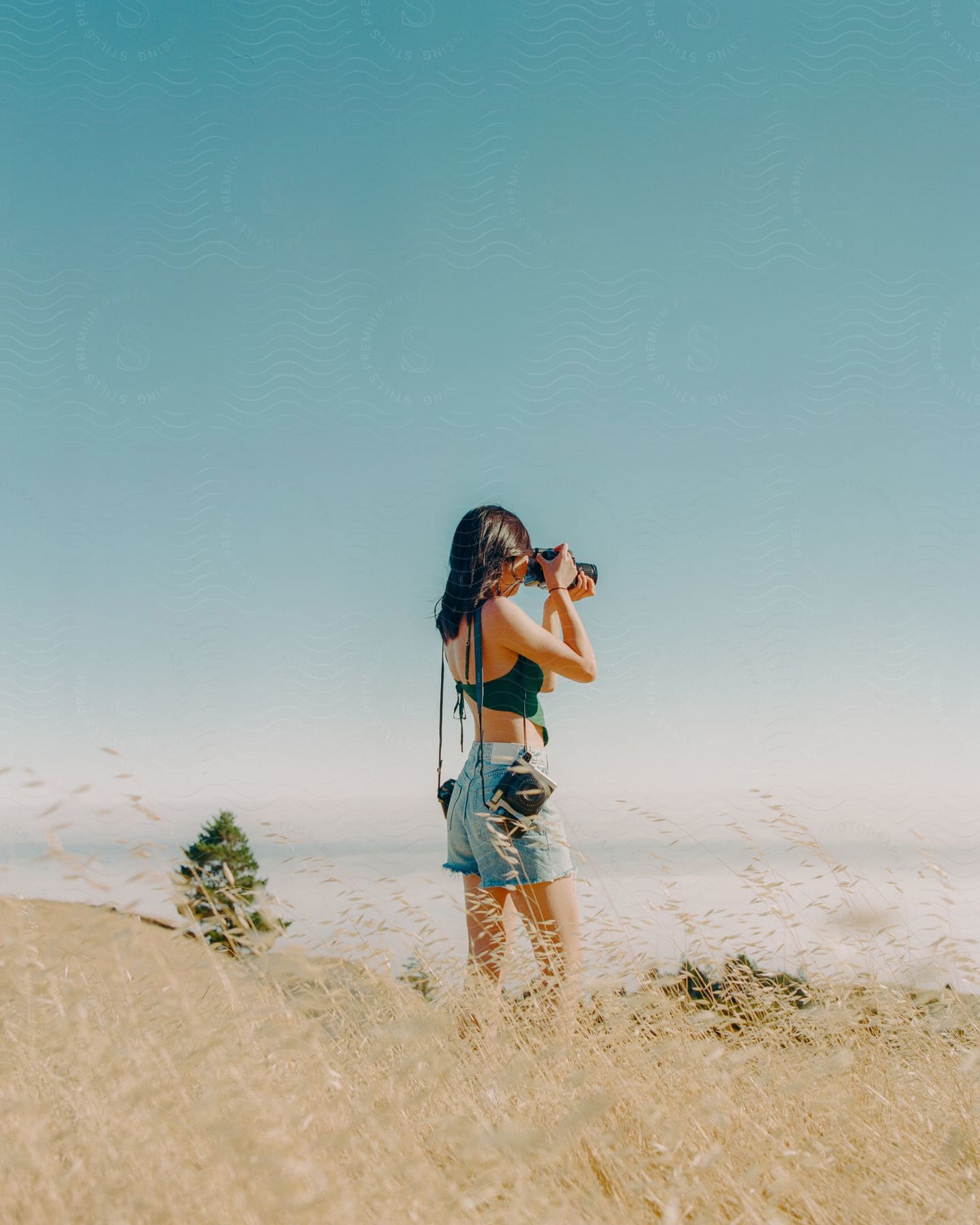 A woman taking a photograph with a camera in a field