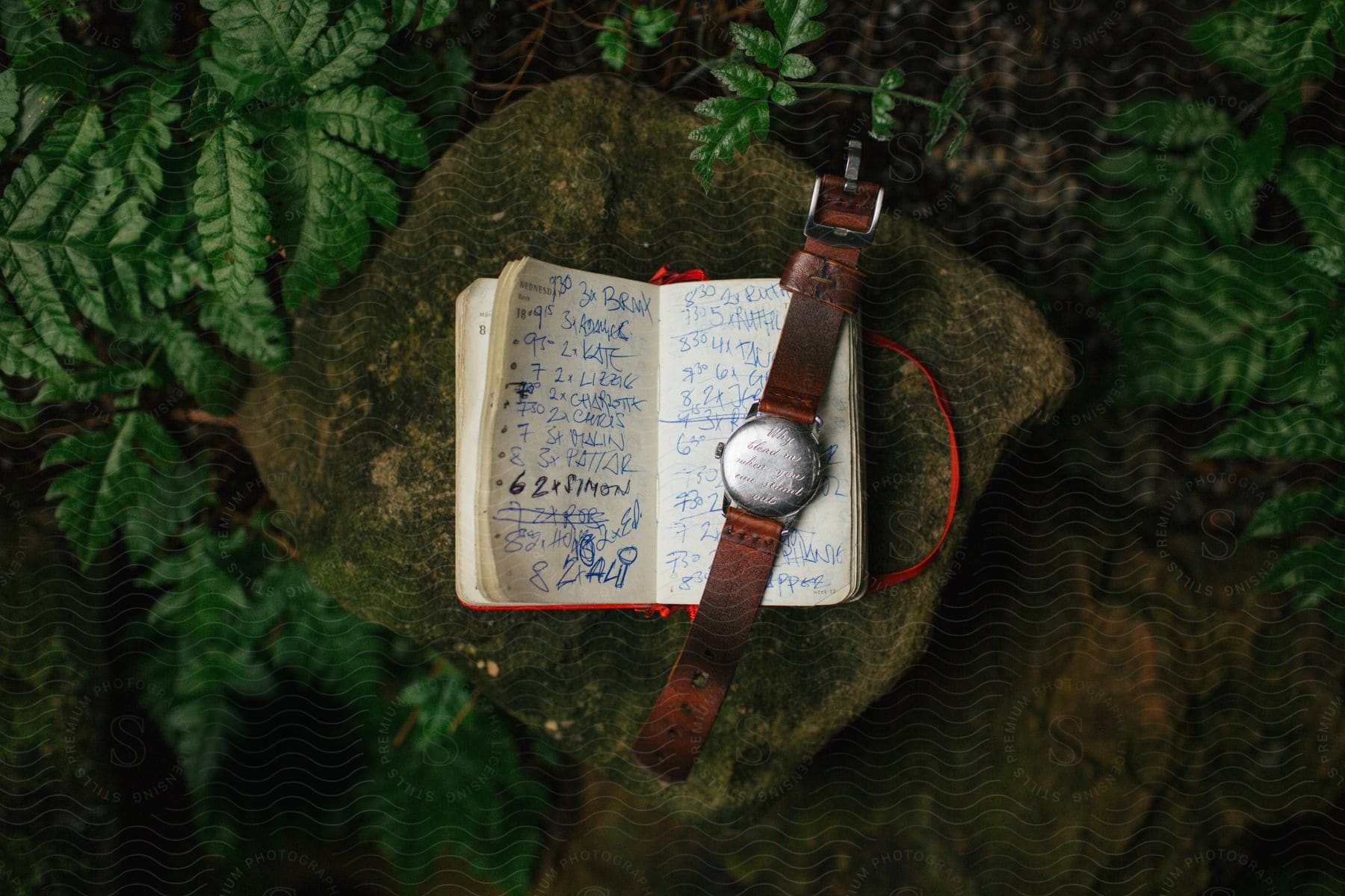 A persons arm resting on a wooden surface with plants nearby