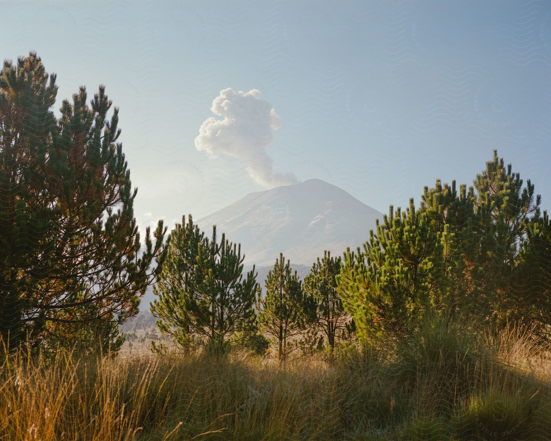 Smoke rises from a mountain under blue skies with trees in the foreground