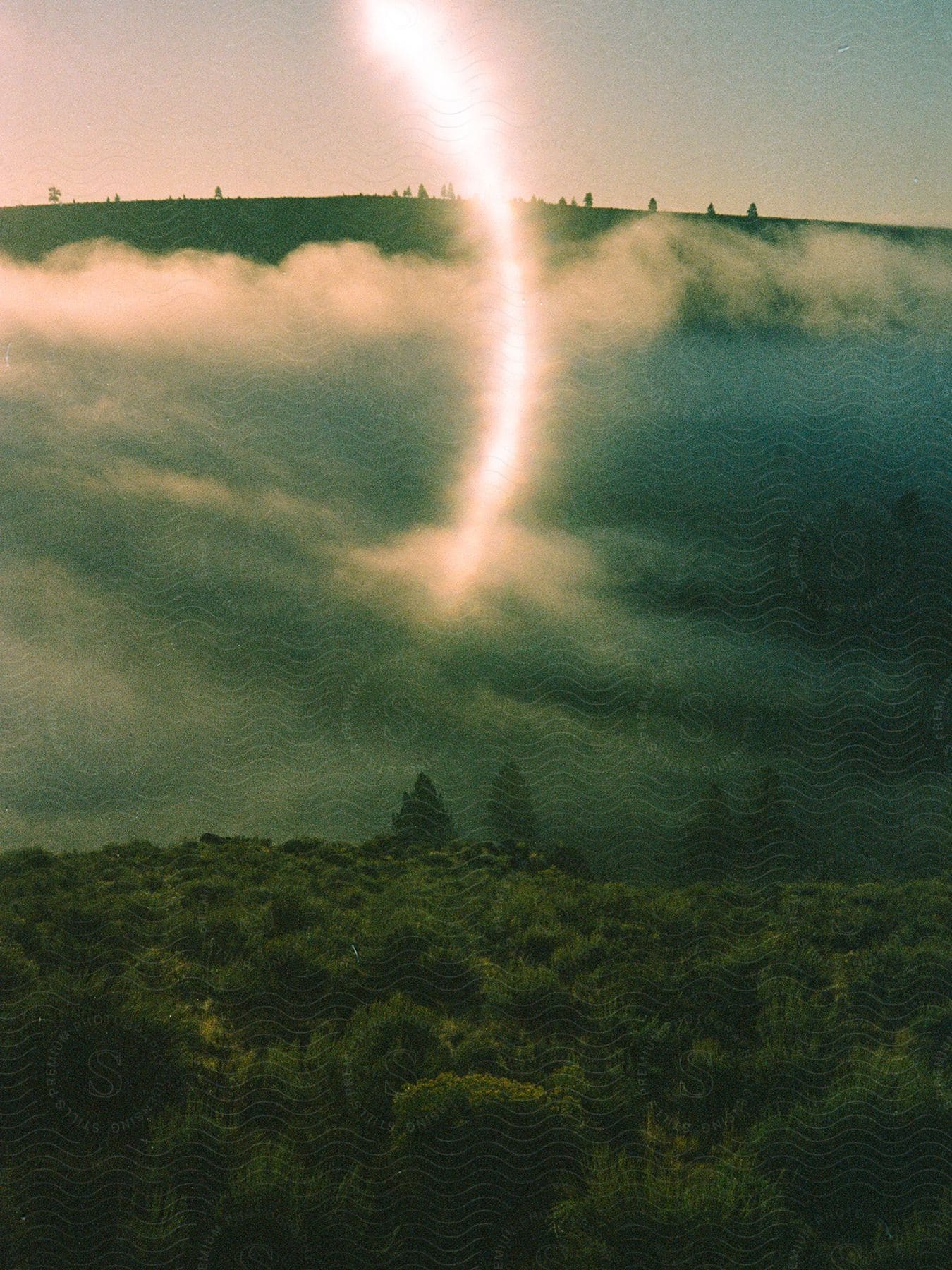 Lightning strikes a forest in oregon