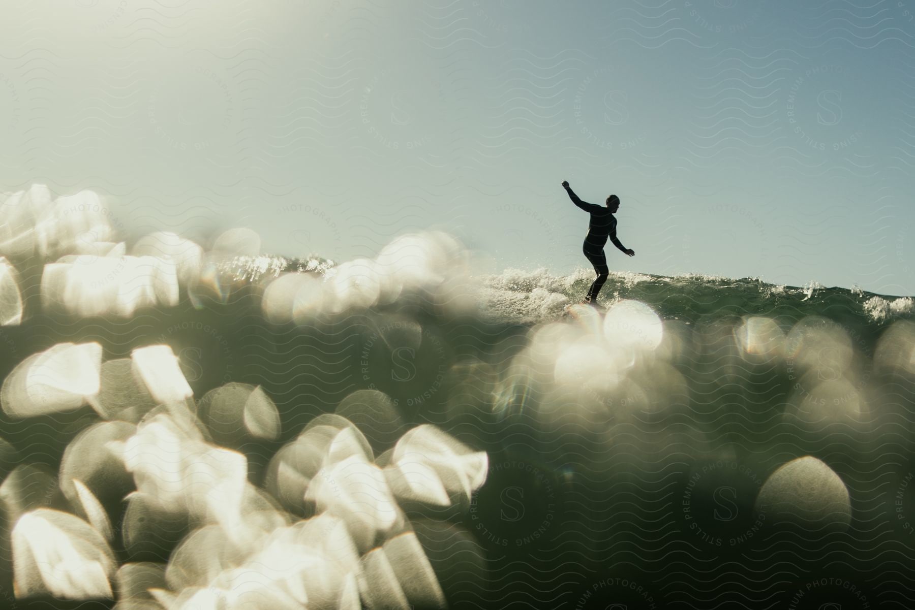 A person riding a wave while surfing on a sunny day.