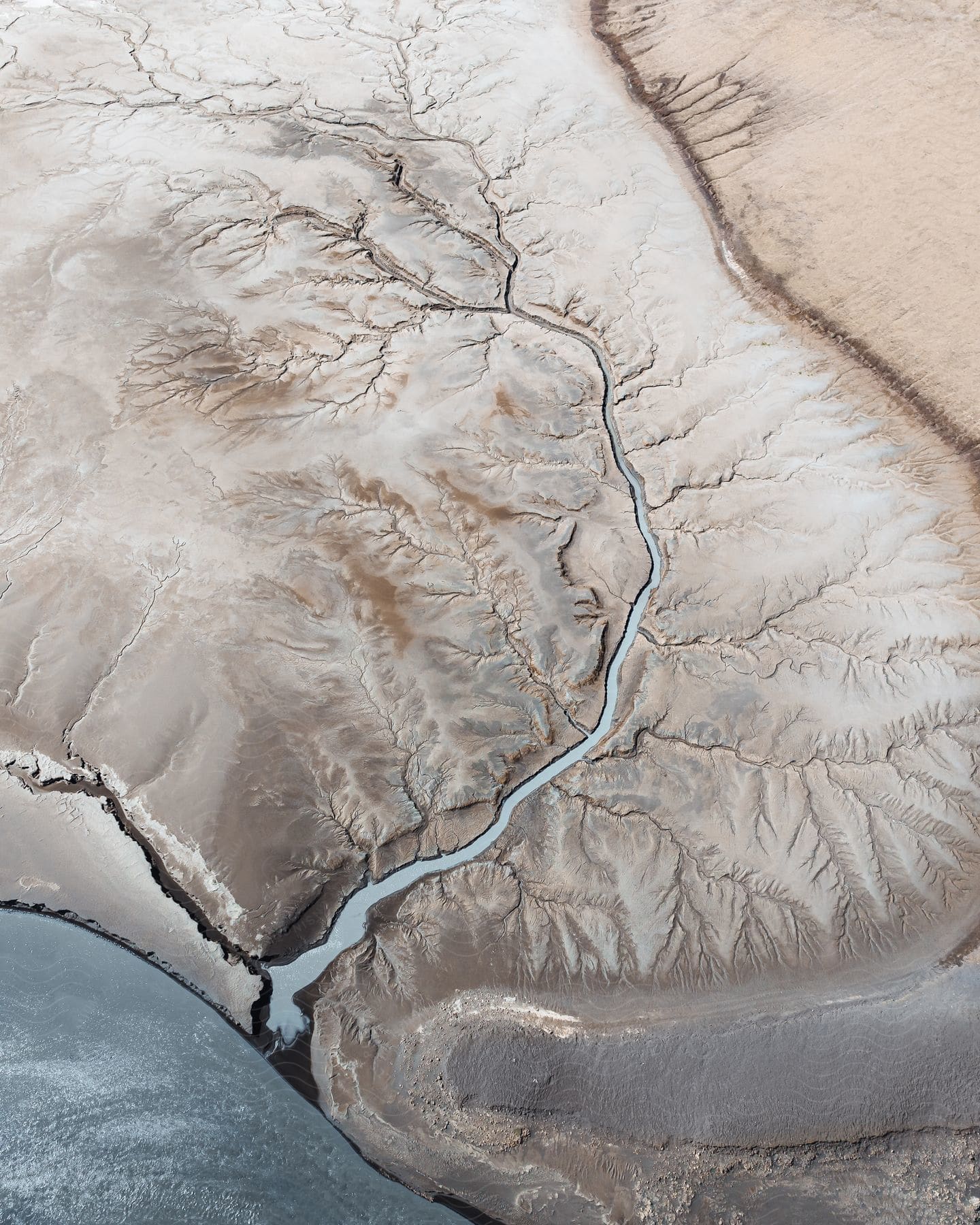 An aerial view of a meandering river delta.