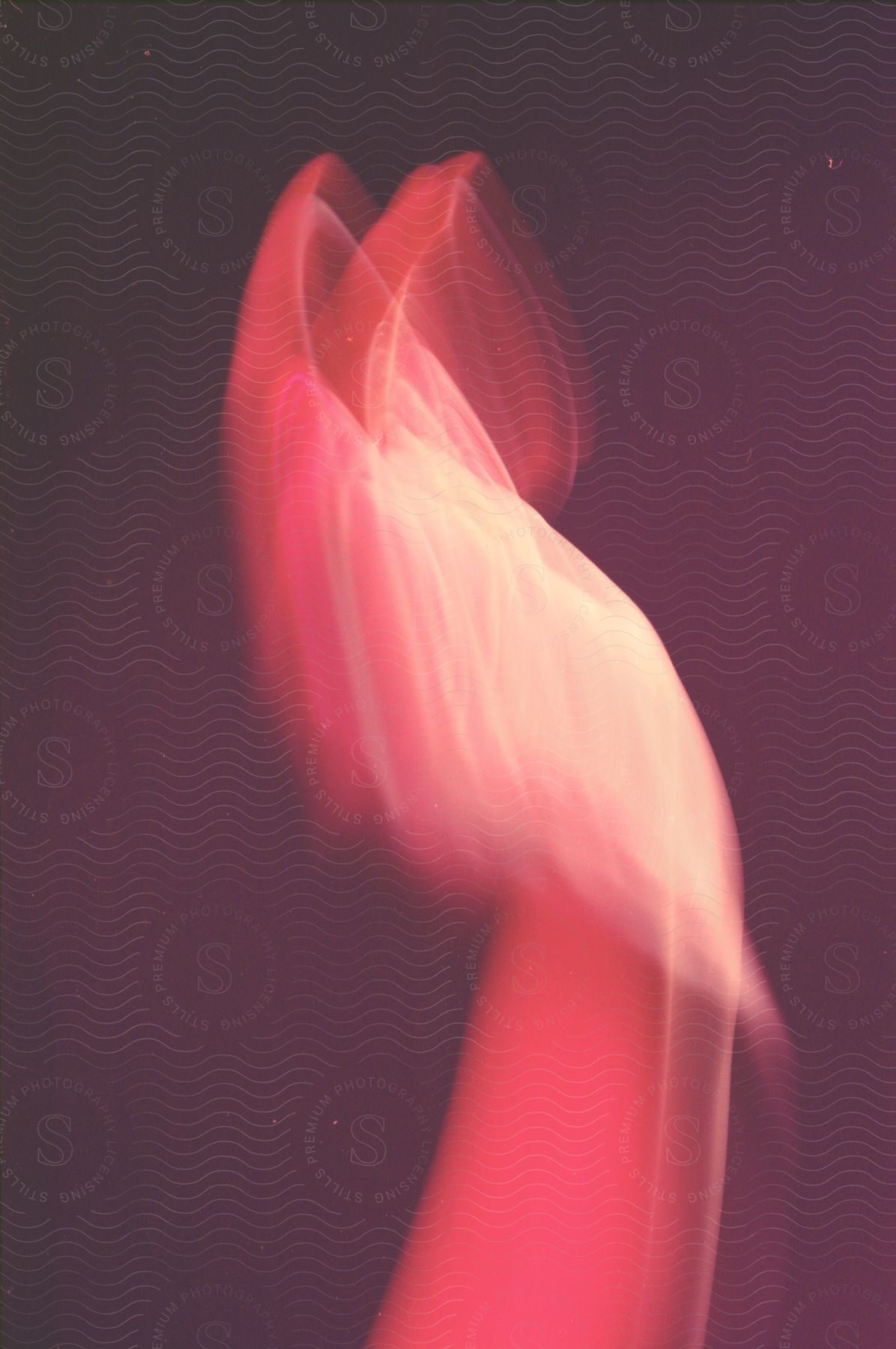 A hand waving back in long exposure under a red filter light against a darker background
