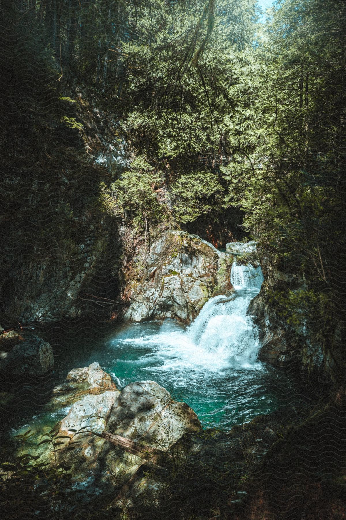 Landscape of lynn creek a scenic view of a creek surrounded by trees and rocks in vancouver bc canada