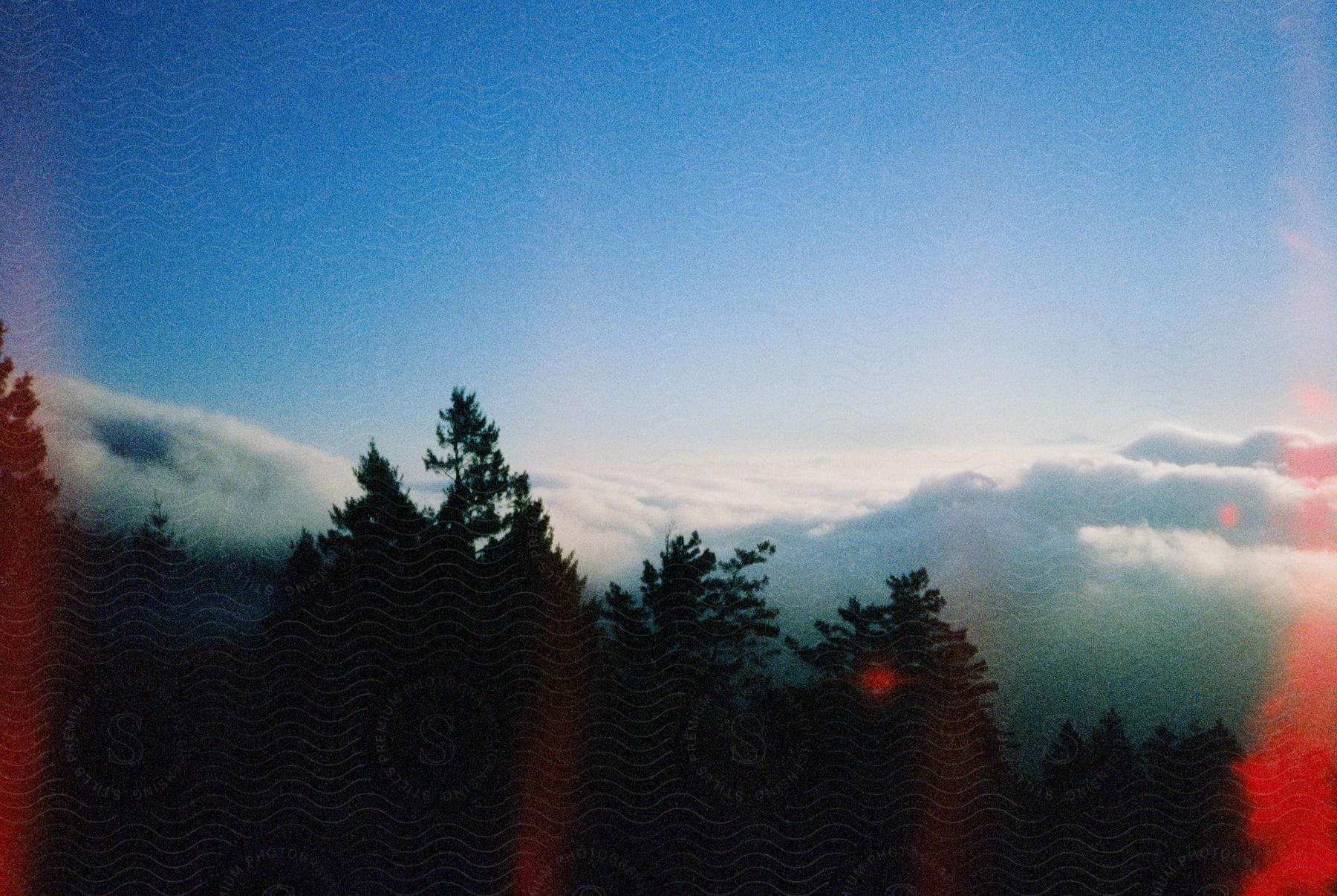 Stock photo of treetops against a cloudy sky in an outdoor landscape