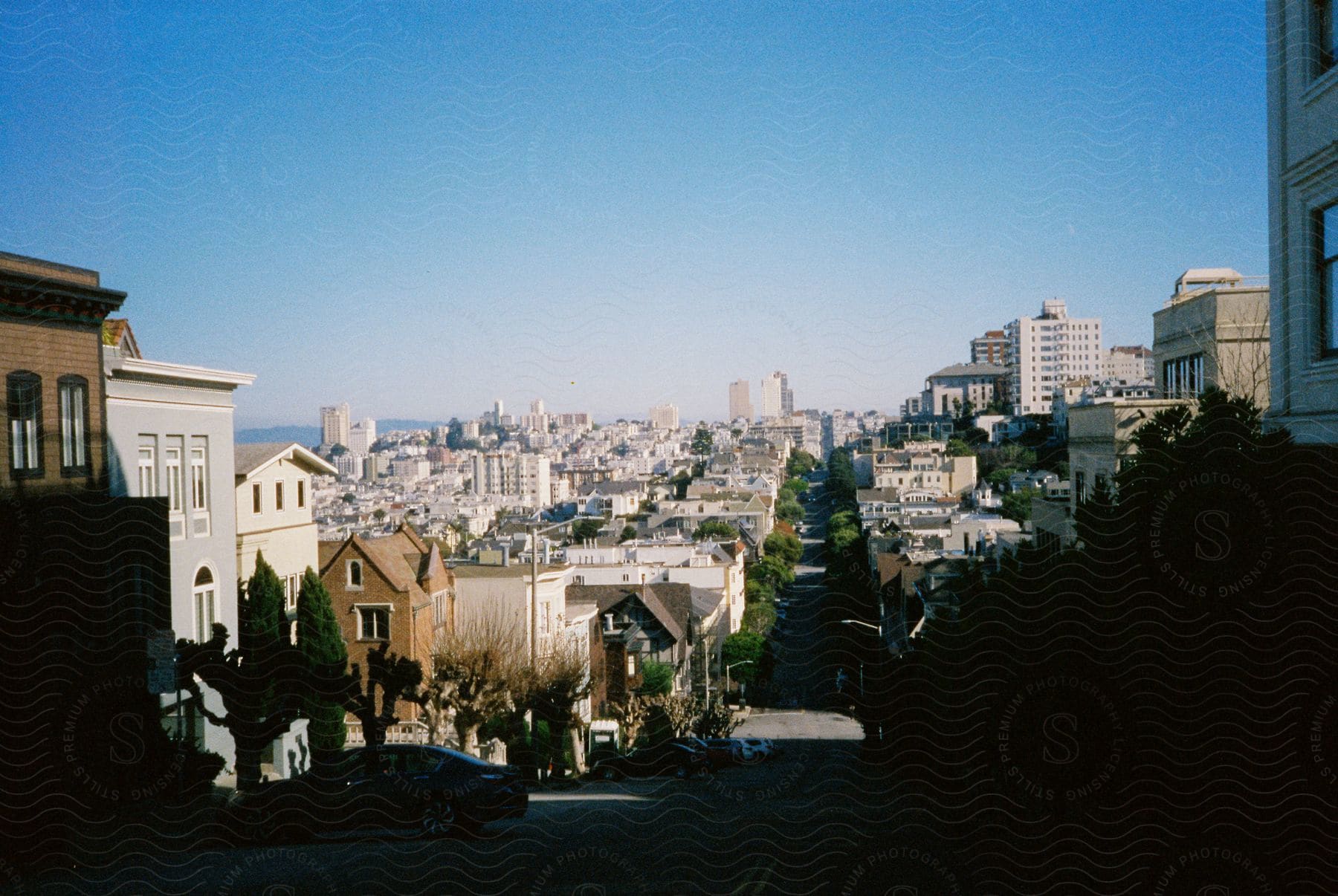 Cityscape with car parked on treelined street skyscrapers in the distance on a sunny day