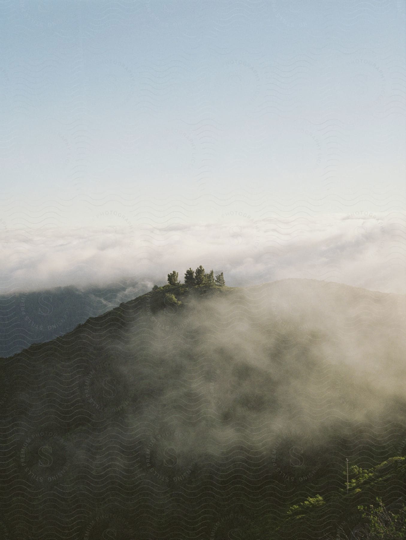 Trees on top of a green mountain surrounded by white clouds