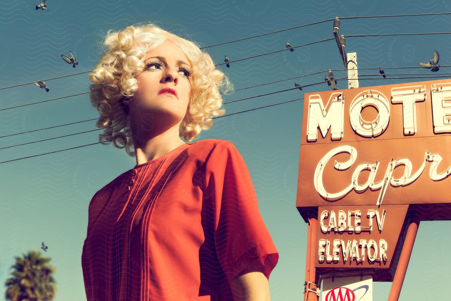 curly blond-haired woman stands in front of a motel sign and a telephone pole, with birds flying overhead and perched on the power lines.