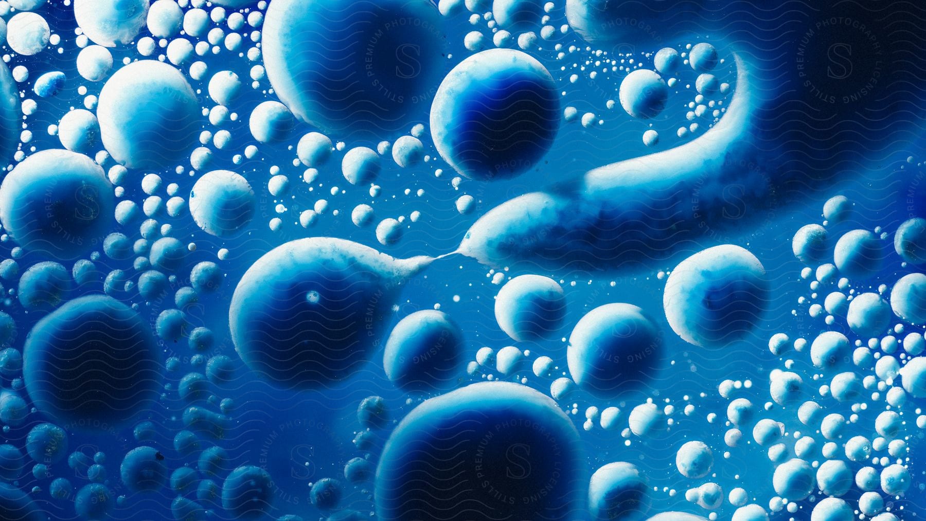 Blue blobs and bubbles floating in liquid