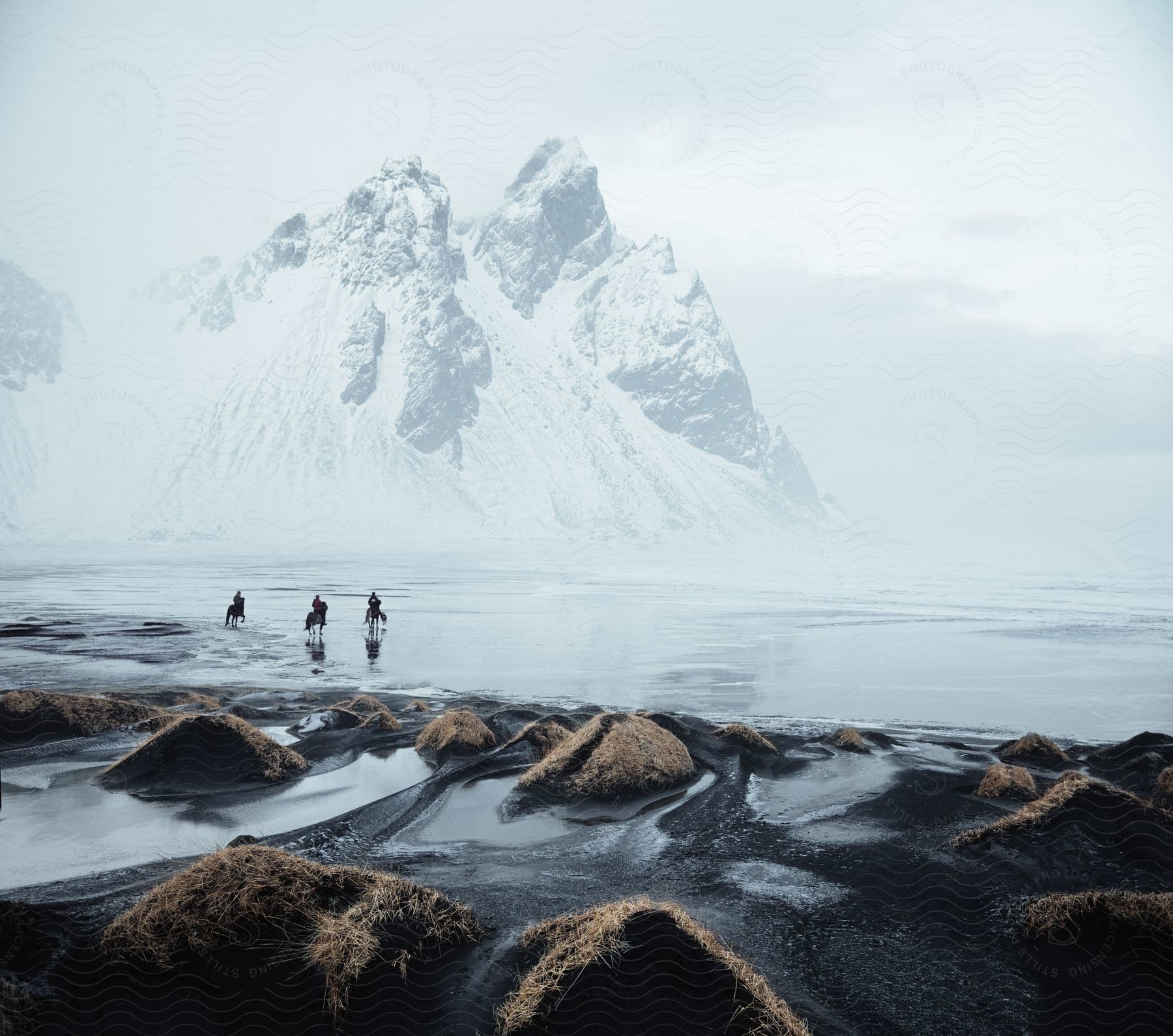 People riding horses near the coast close to snowcovered mountain slopes in daytime