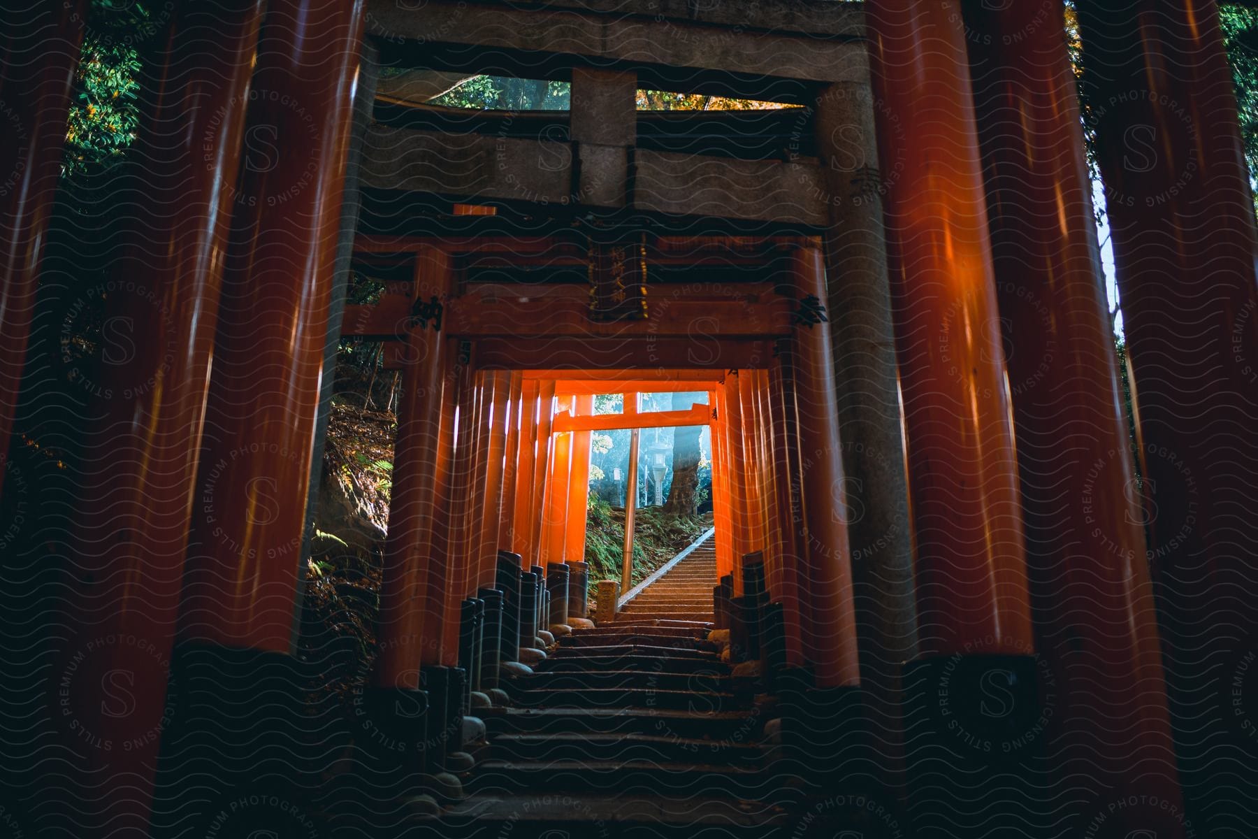 Torii path stairs at fushimi inaritaisha shrine in japan