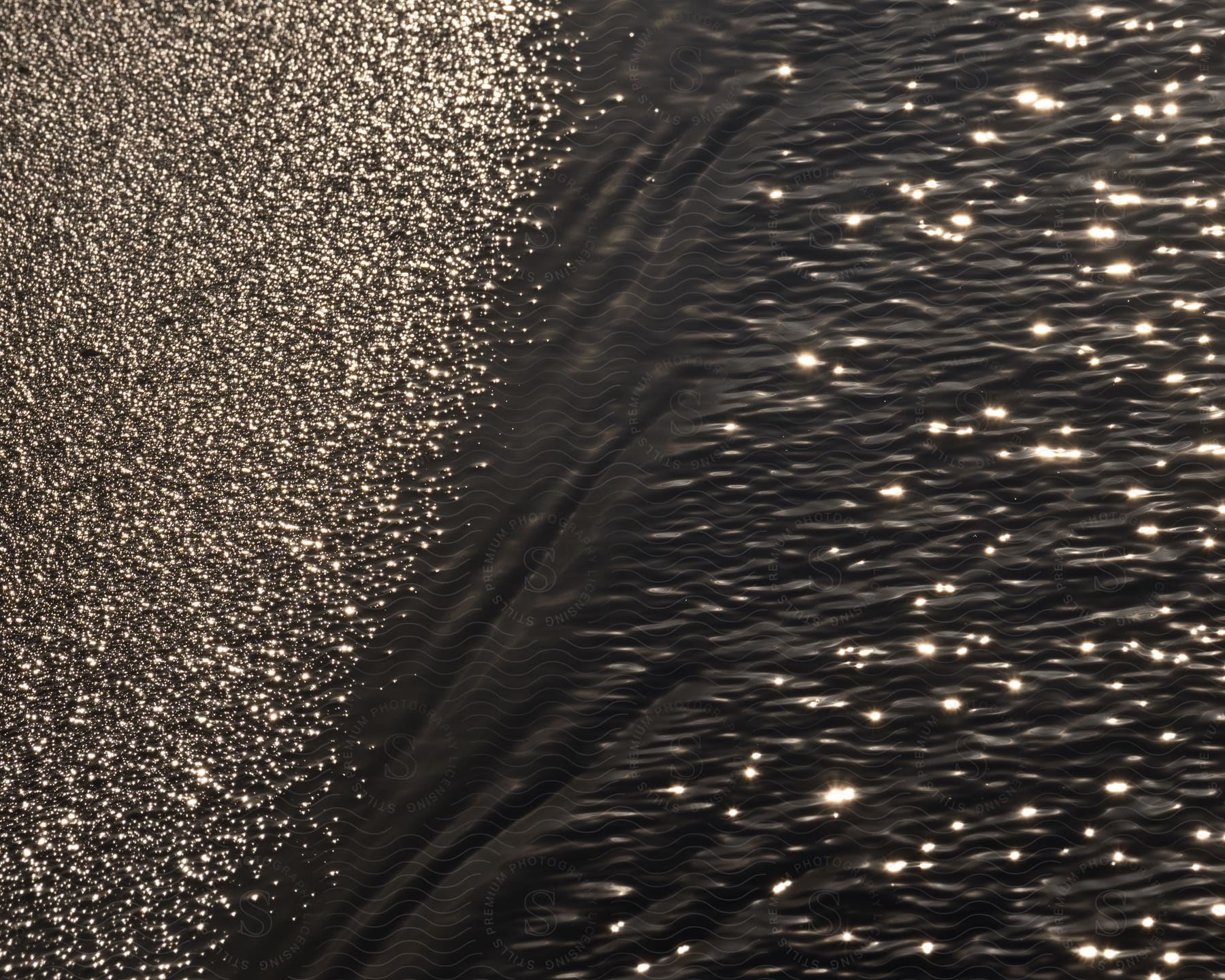 Water ripples in a serene outdoor setting