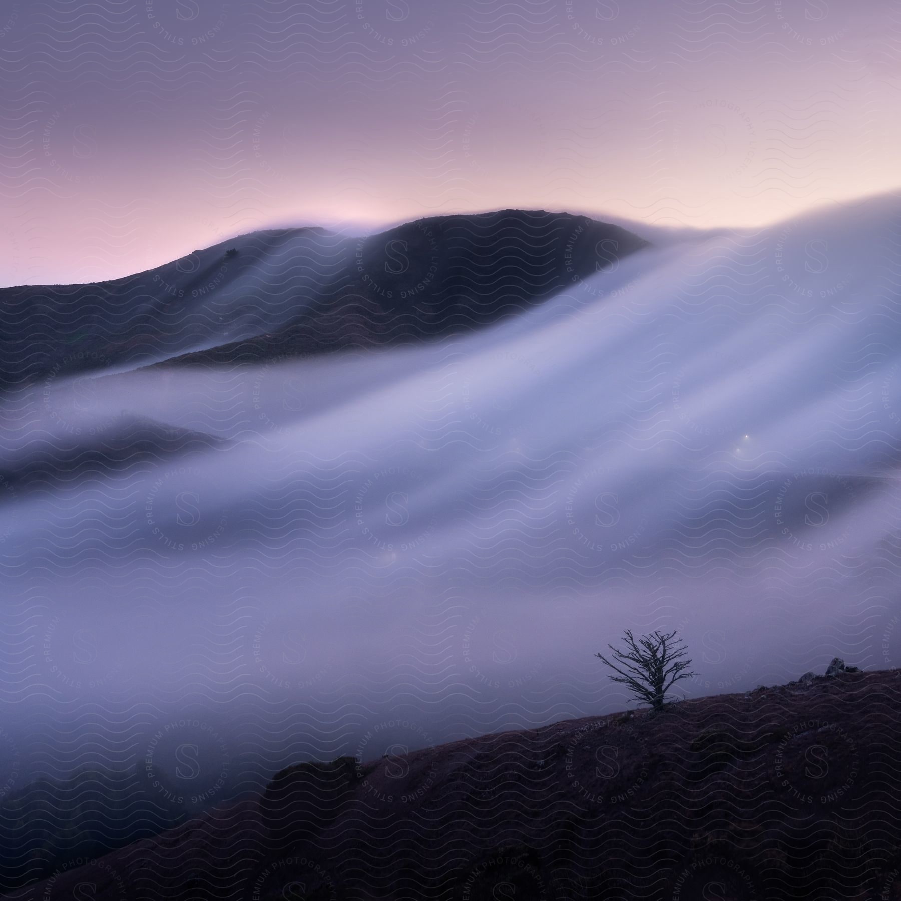 Mountains with rolling fog a purple and pink sky and bare plants on the ground