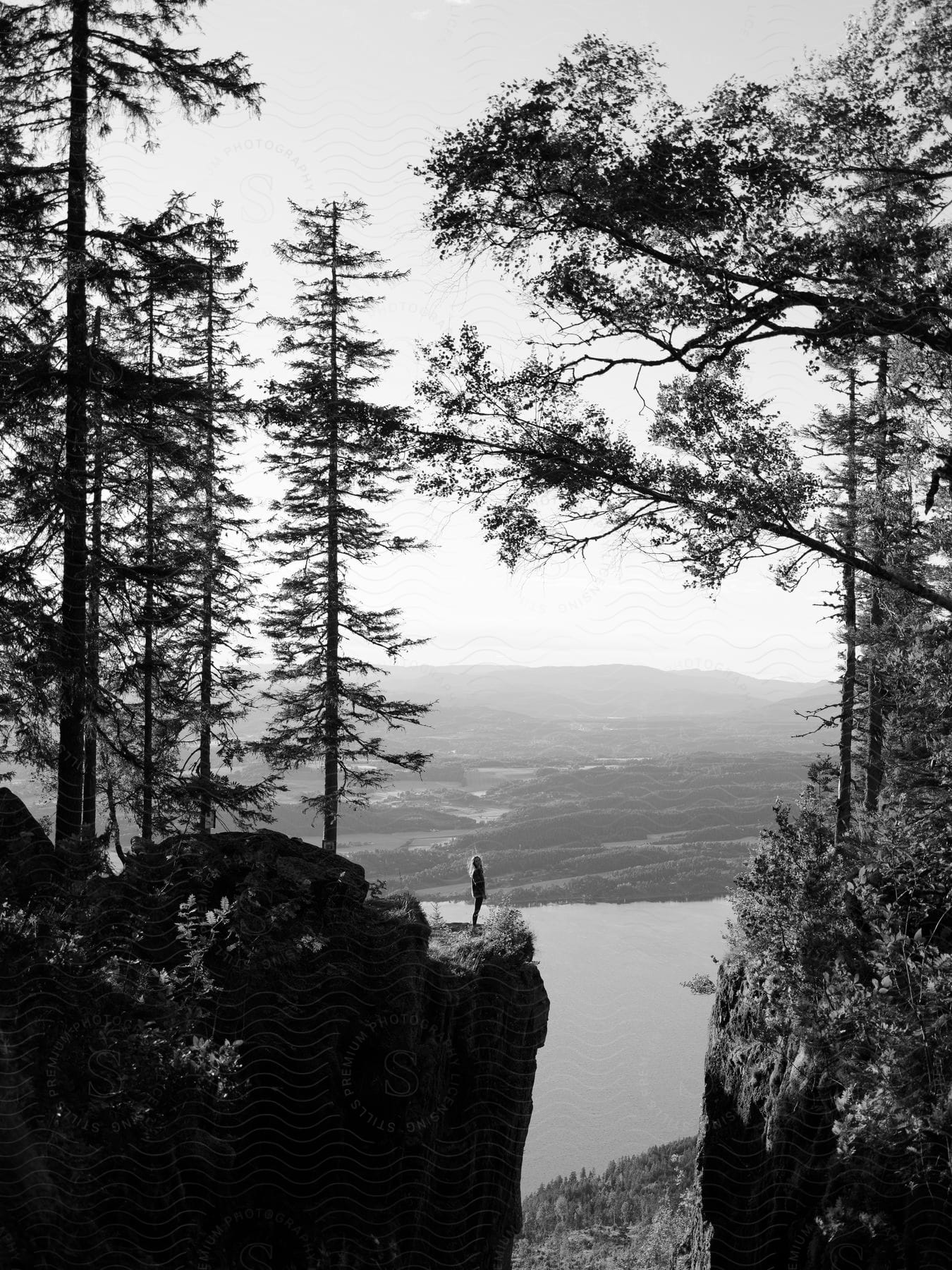 A woman stands on a forest cliff overlooking a river with mountains in the distance