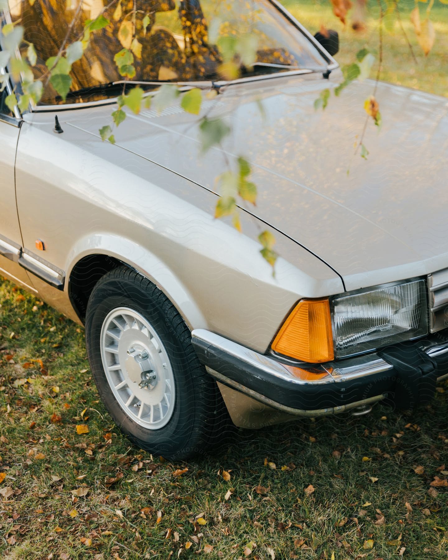 An old beige car parked under some trees