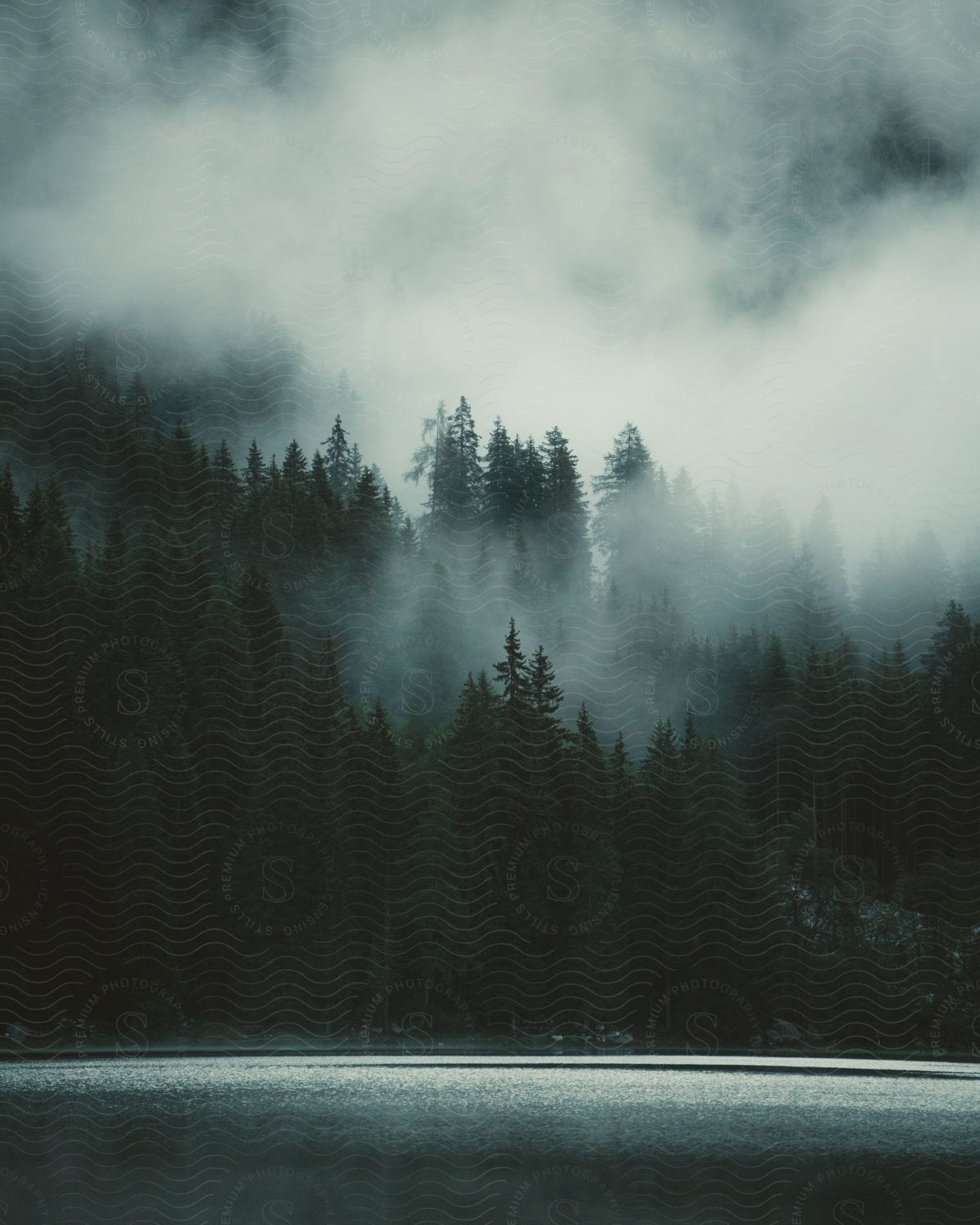 Mountain forest landscape with clouds overlooking a lake on a moody day at lake antholz in south tyrol italy