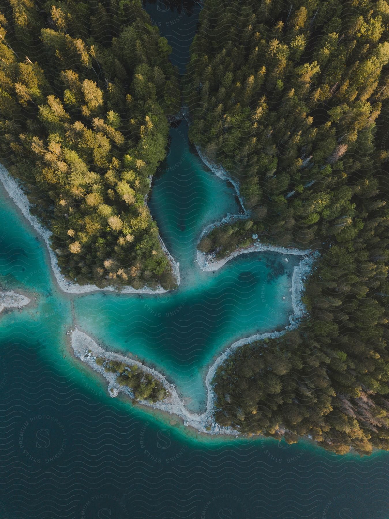 Forest surrounds a waterway in a picturesque coastal scene at lake eibsee in bavaria germany